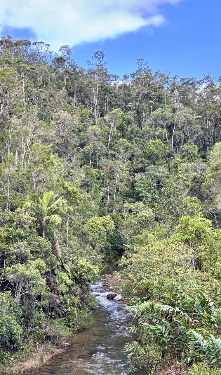 安達西貝雨林瀑布長曝光，ND 濾鏡與三腳架創造絲綢水流效果；Rainforest waterfall long exposure in Andasibe — ND filter and tripod recommended.