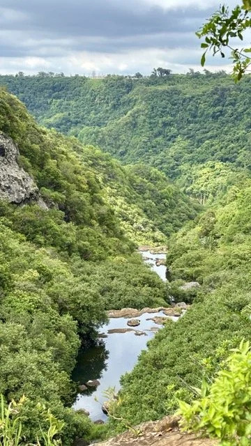 通往七瀑布的林間步道與原生樹冠視角，適合拍攝生態紀實與鳥類觀察，推薦早晨時段光線。 Forest canopy and trail view leading to Seven Waterfalls, ideal for nature documentary shots and birdwatching—best light in the morning.