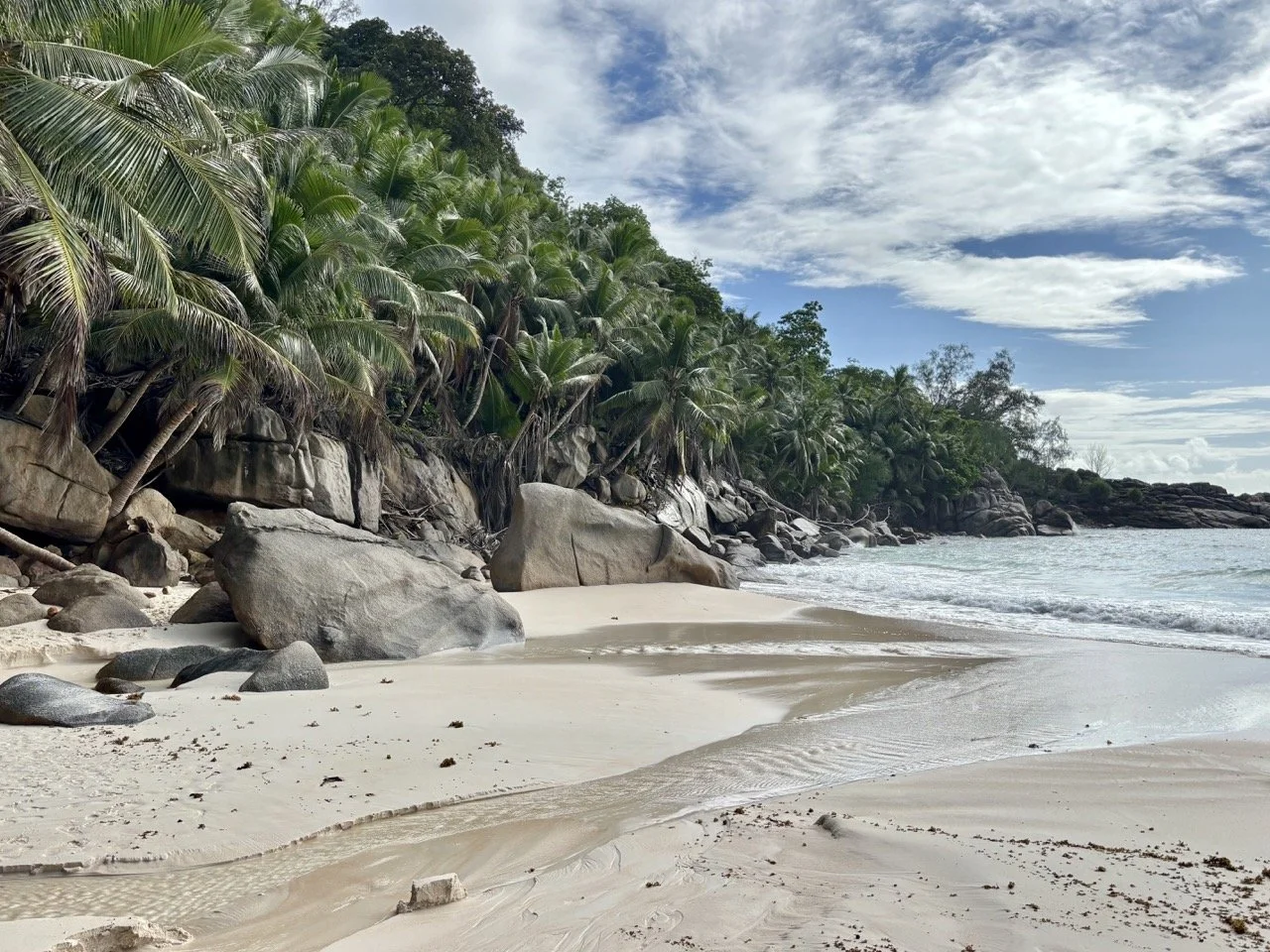 La Riviere Anglaise 社區的街道與綠色環境，適合搭配馬埃島自由行交通、住宿與在地生活介紹。