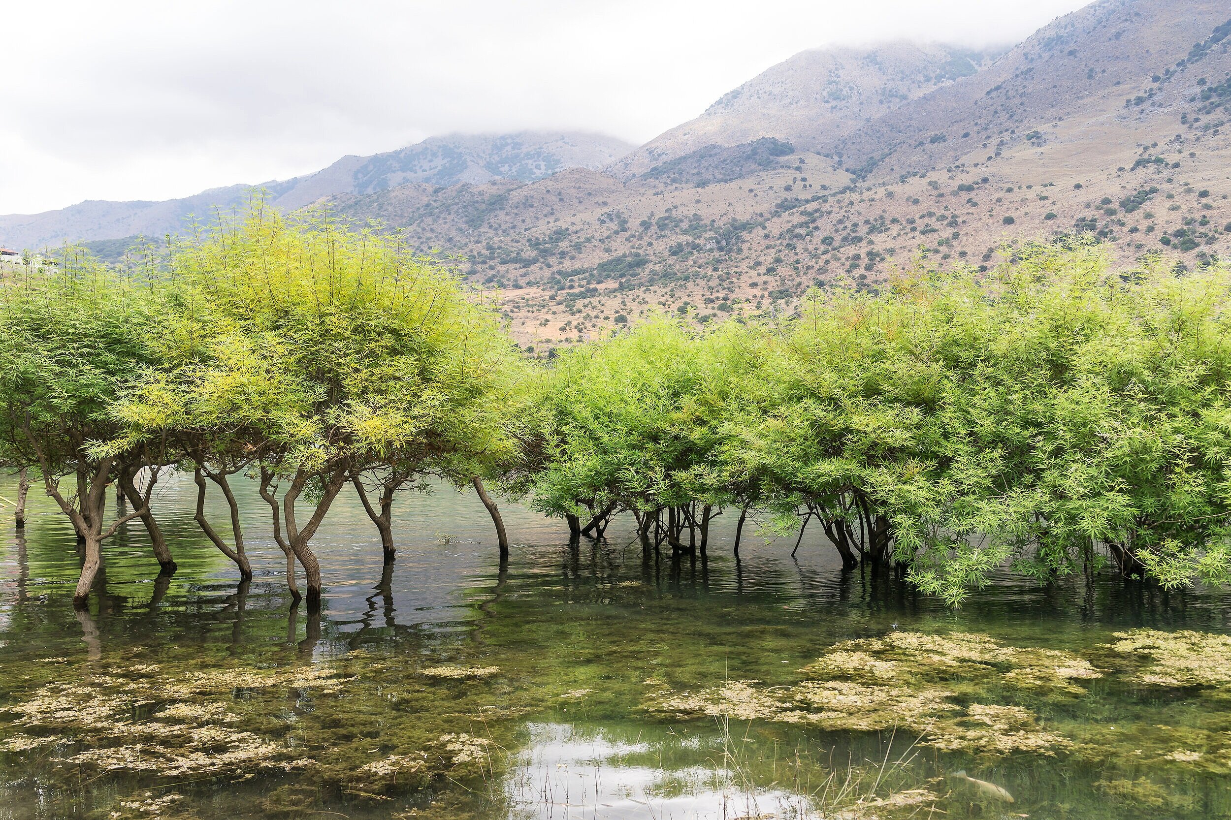 Crete, 克里特島,The best Greek islands to visit in 2021, Greek islands that promise unforgettable holidays. Discover them! Greek islands best attractions, best beaches, where to visit, Which is the most beautiful island in Greece? the most picturesque Gr