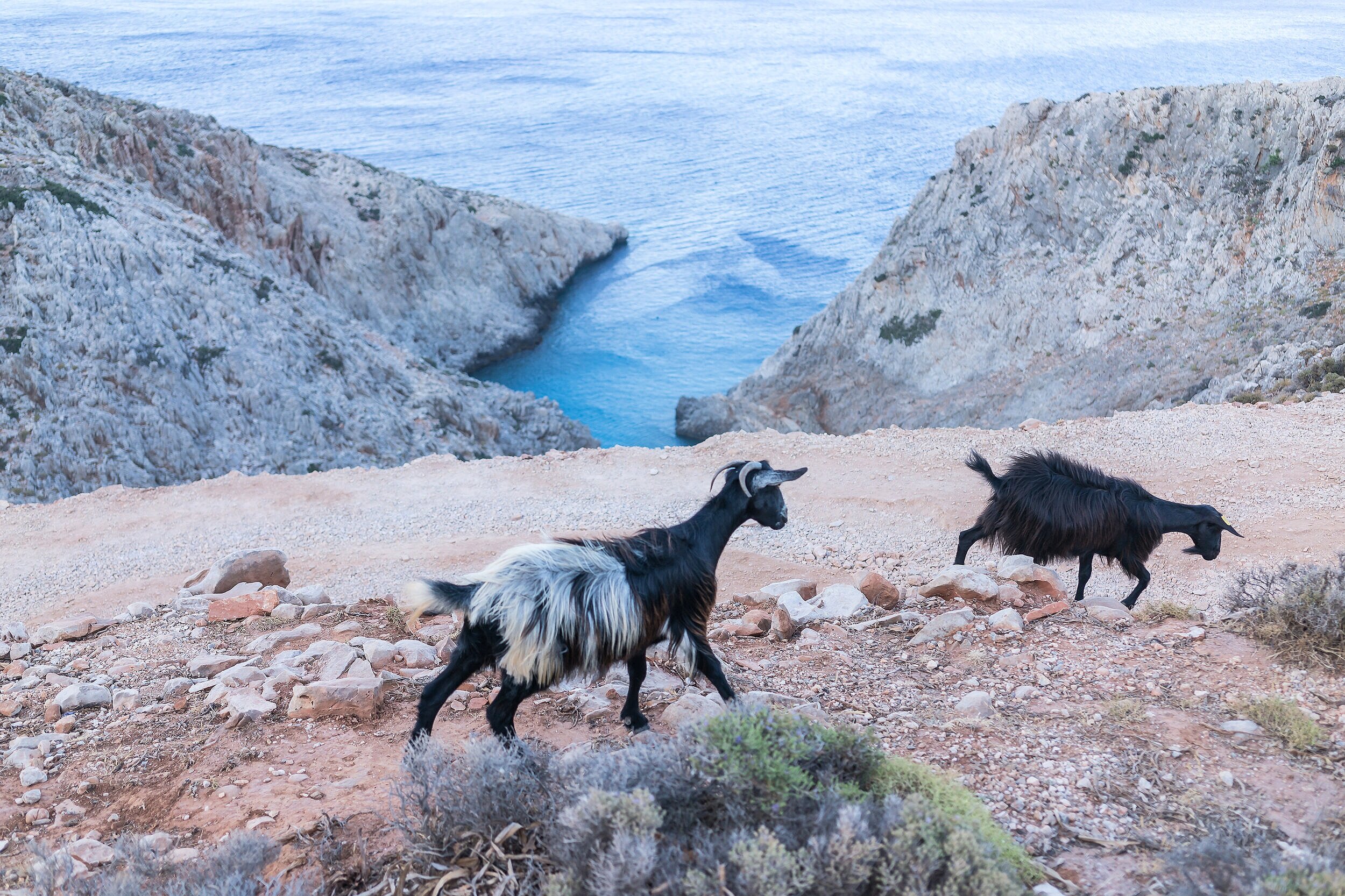 Crete, 克里特島,The best Greek islands to visit in 2021, Greek islands that promise unforgettable holidays. Discover them! Greek islands best attractions, best beaches, where to visit, Which is the most beautiful island in Greece? the most picturesque Gr