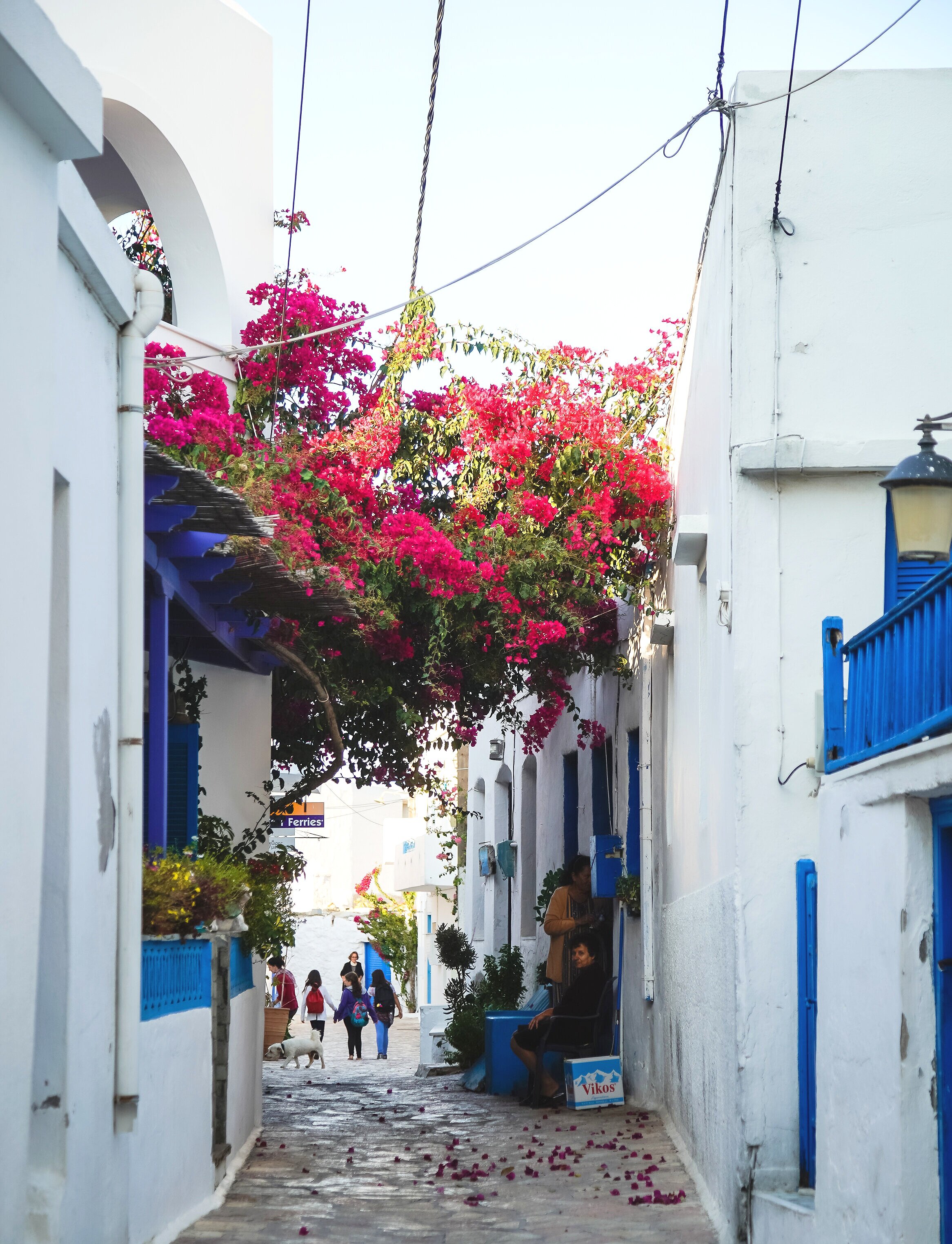 Koufonisia, 庫福尼夏島,The best Greek islands to visit in 2021, Greek islands that promise unforgettable holidays. Discover them! Greek islands best attractions, best beaches, where to visit, Which is the most beautiful island in Greece? the most pictures
