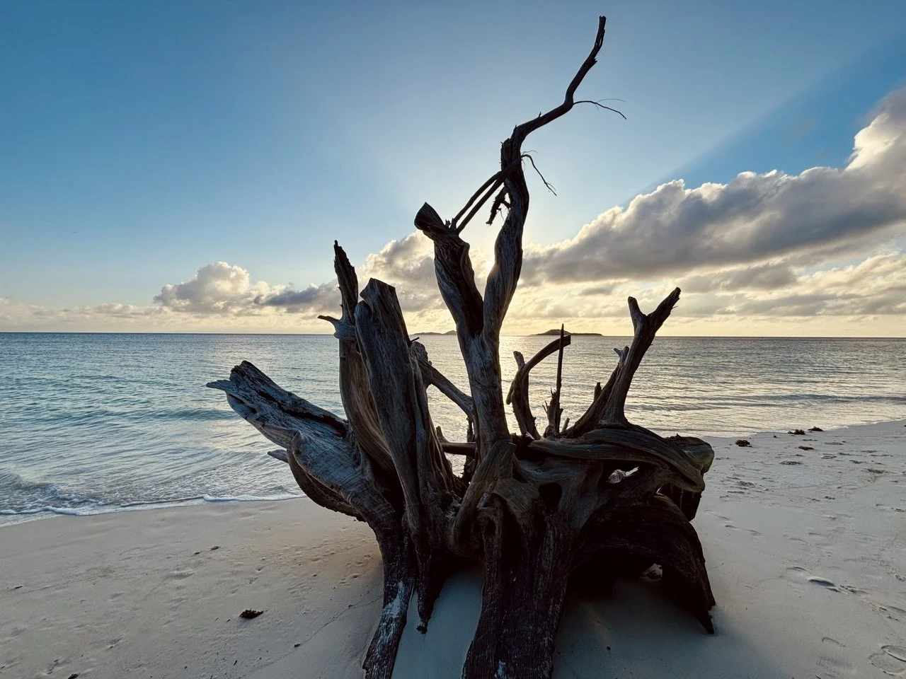Anse Georgette 海灘全景，原始自然的海岸線與清澈印度洋海水展現普拉蘭島隱密海灘之美。