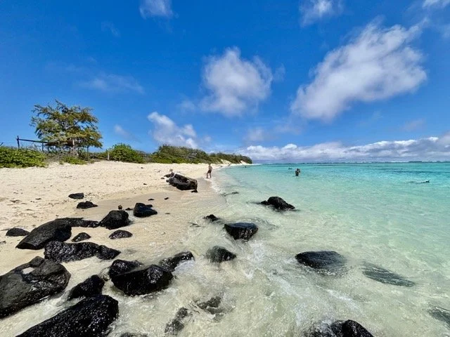 Ile Aux Cerfs 水上活動場景：立式划槳 SUP 與滑水表演，展示多種 catamaran 行程可加購的水上活動。