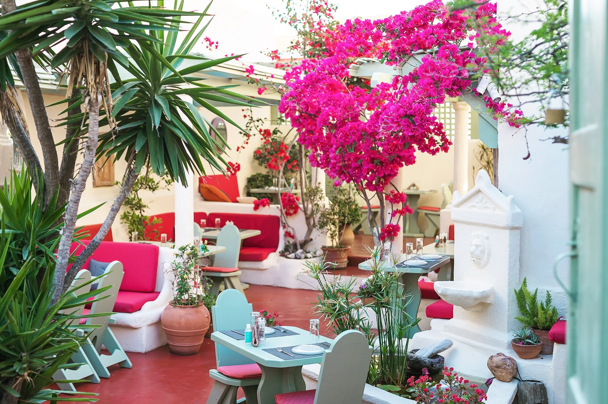 Karma Greek Restaurant Oia 早餐中的新鮮希臘優格水果碗，搭配自製燕麥脆片、種籽、時令水果與蜂蜜，為探索聖托里尼補充活力。