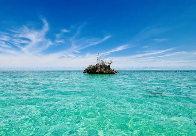 在 Crystal Rock 附近的透明淺灘浮潛特寫，遊客戴著面鏡在清澈海水中觀察熱帶魚與礁石。