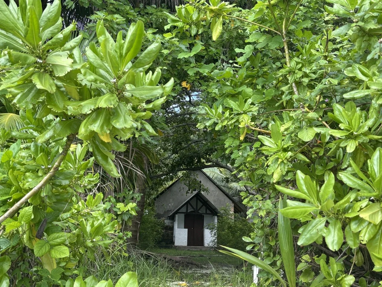 Cerf Island 鹿島提供克里奧爾風味燒烤午餐，旅客可品嚐烤魚、海鮮、香料飯與熱帶水果。
