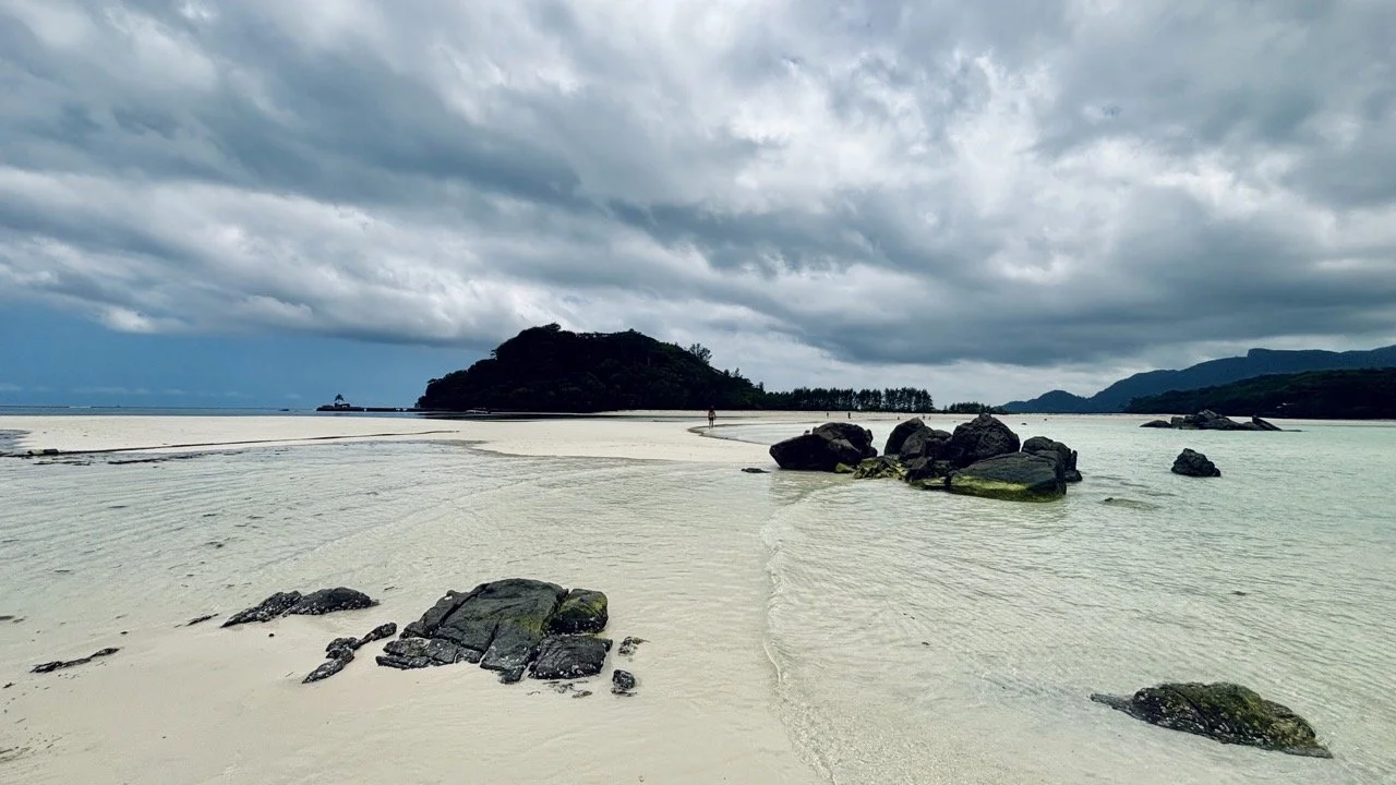 Moyenne Island 上的阿爾達布拉巨龜，是塞席爾生態旅遊與馬埃島出海行程中最受歡迎的野生動物之一。