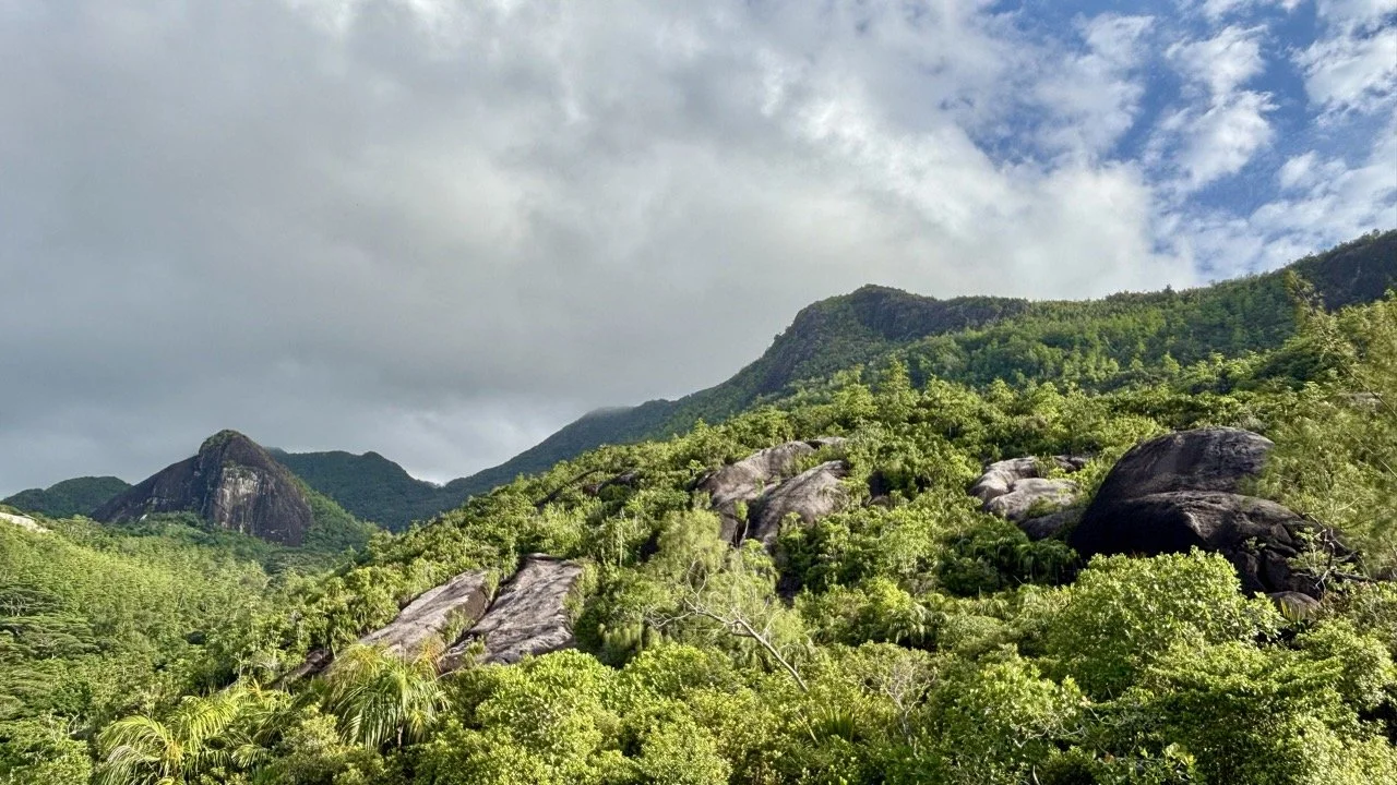 從 La Misère 高處俯瞰塞席爾首都維多利亞與周邊海岸，展現馬埃島山城相連的獨特地形。