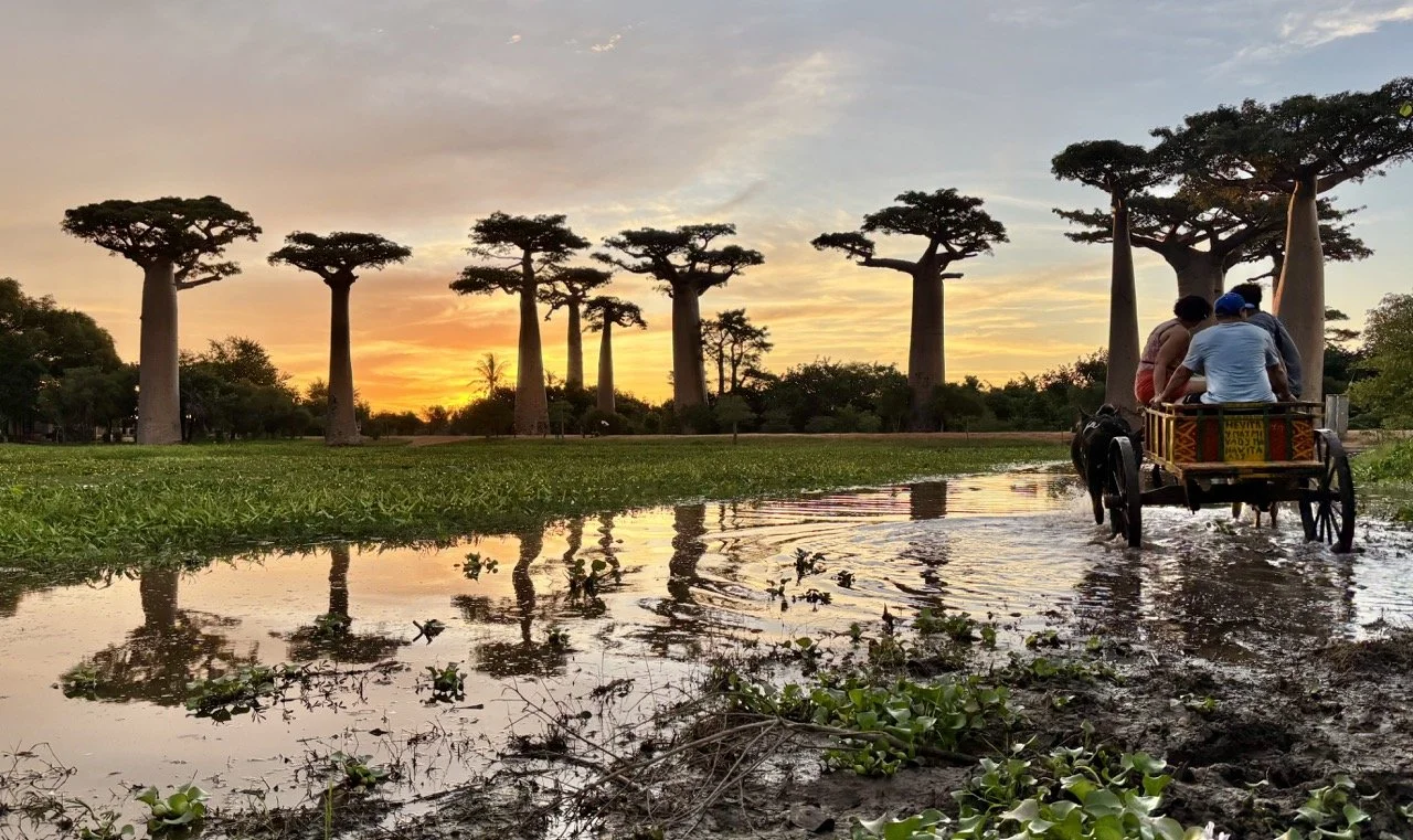 猴麵包樹日出拍攝清單與構圖建議，適合攝影師提前準備；Baobab sunrise shot list and composition guide for photographers.