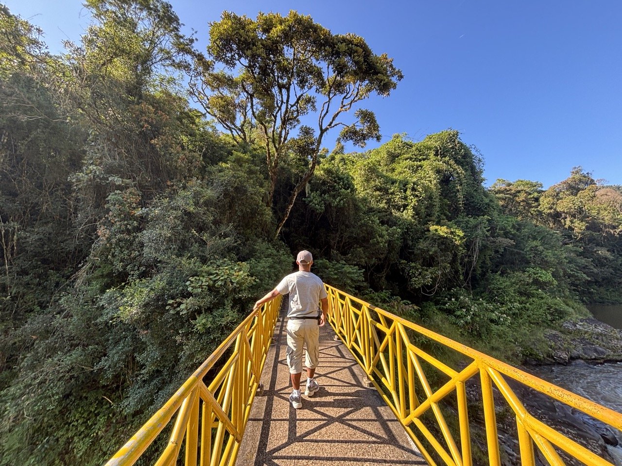 國家公園步道樹冠層視角，廣角拍攝森林縱深與光束；Trail canopy view in Ranomafana National Park — wide‑angle forest depth and sunbeam photography.