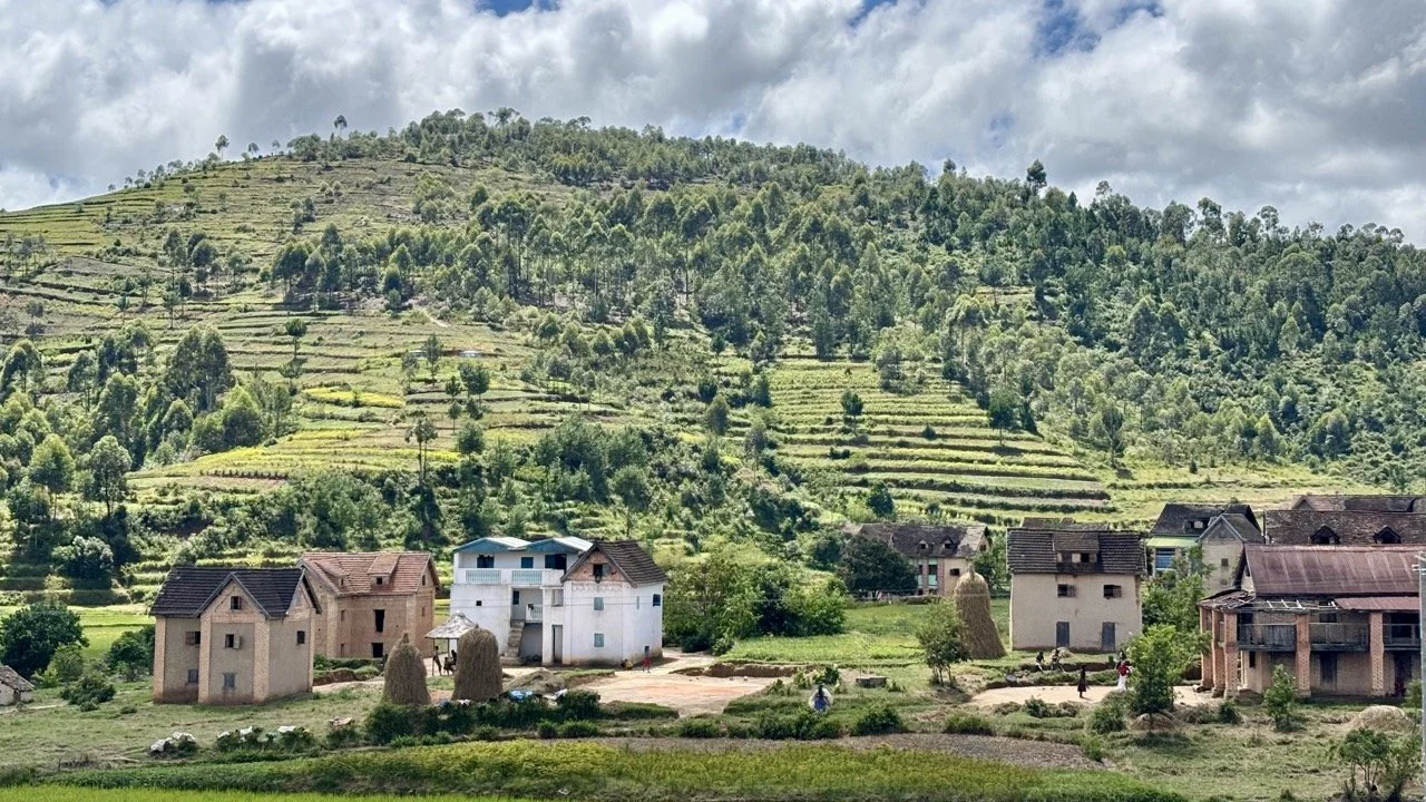 收割時節的梯田活動：農人收割、堆疊稻穗與鄉村慶典的生活紀錄；Harvest activity in terraced fields — farmers harvesting, stacking sheaves and rural celebration documentary.