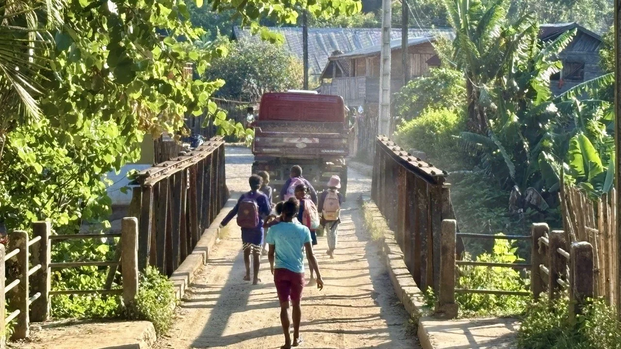 光線穿過樹冠的光束與塵埃浮粒，動態光影的森林攝影技法示範；Sunbeams through canopy — dynamic light and particulate forest photography technique.