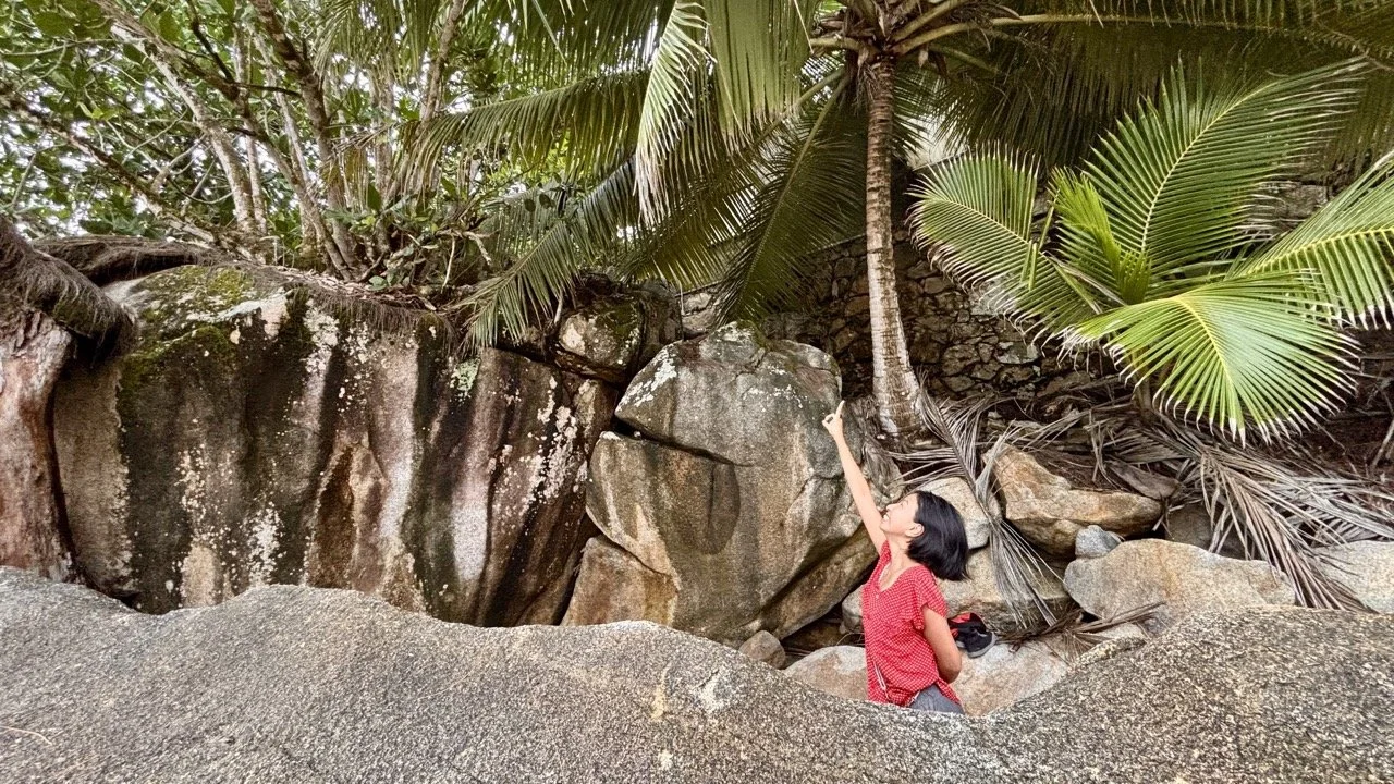 塞席爾馬埃島 Anse Royale 海灘的全景，展示平靜海水、細白沙灘與東南海岸的自然環境。