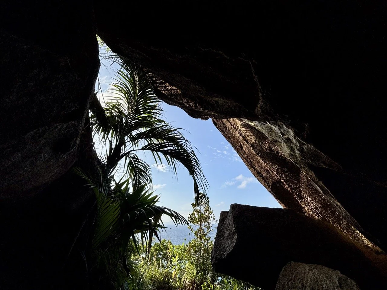 Vallee des Fruits 熱帶果園中的成熟水果與茂密植被，適合介紹馬埃島生態旅遊與在地自然體驗。