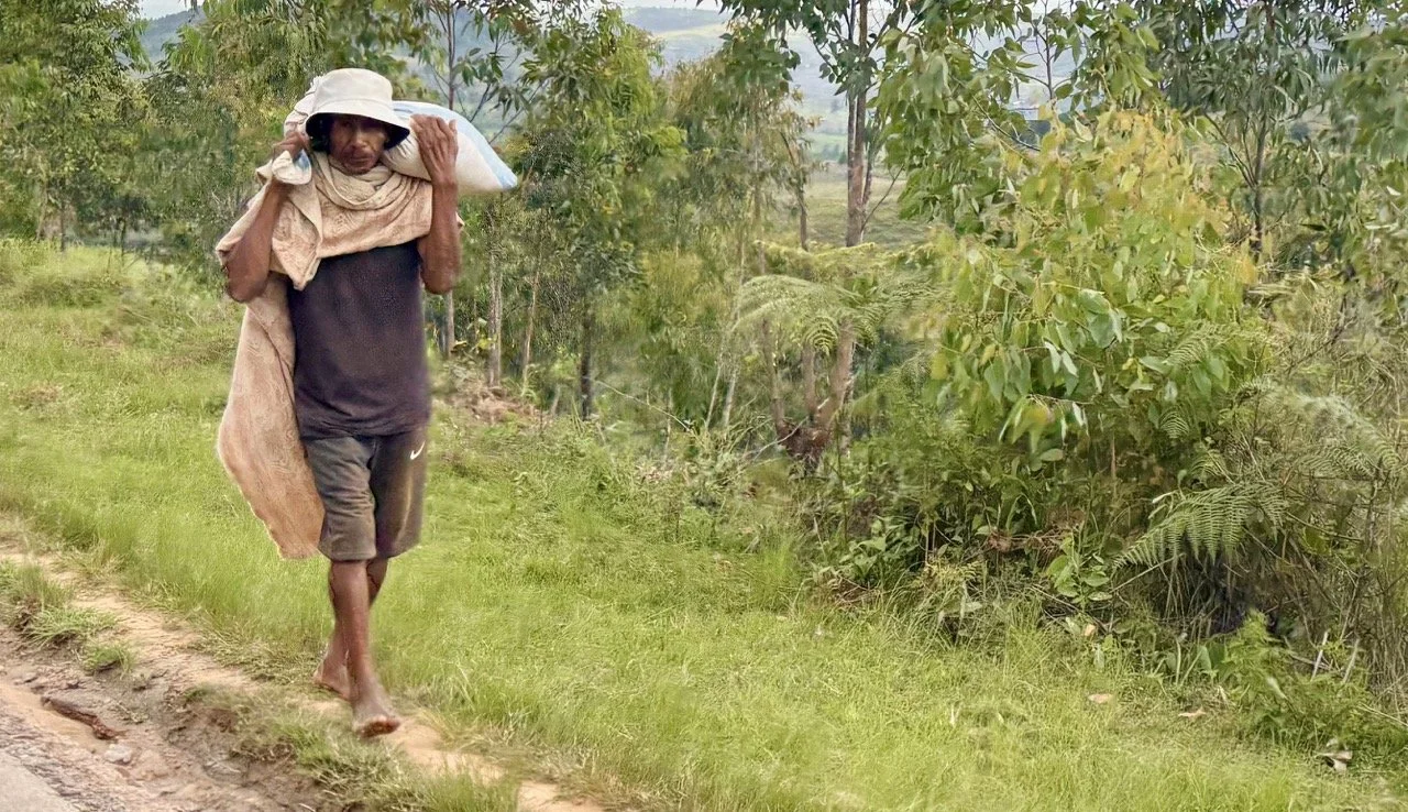 Ranomafana 可下載攝影行程封面圖：Top 5 拍攝點、1–3 天行程、夜間導覽與拍攝清單；Downloadable Ranomafana photography itinerary hero — Top 5 p