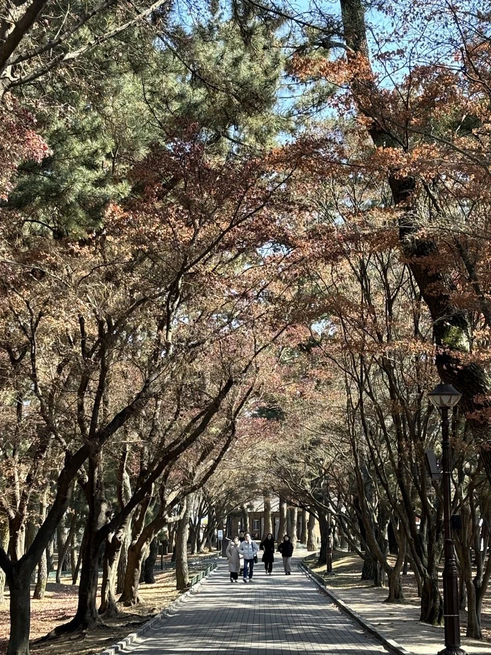 韓國慶州大邱文化之旅與美食推薦｜深度探索必訪景點 | Korea Gyeongju Daegu Cultural Food Guide