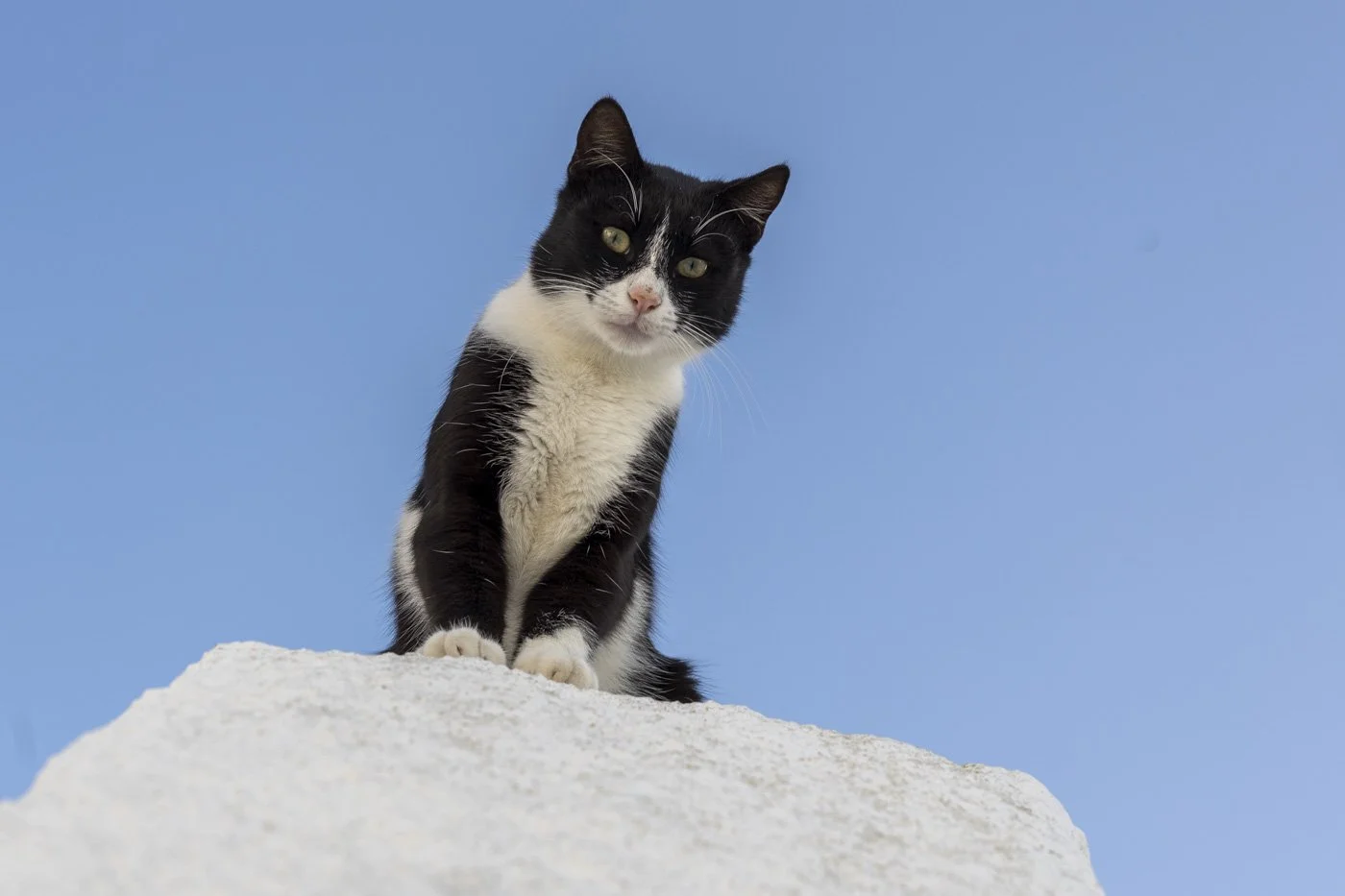 サントリーニ島オイアの青いドーム教会で行うウェディングフォト撮影。15年以上の経験を持つプロカメラマンが、エーゲ海の光を完璧に捉える。