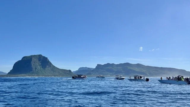 塔瑪蘭海域海豚跳躍瞬間，海豚群在船旁躍起，強調 wildlife encounter 與 early morning dolphin watching 體驗。