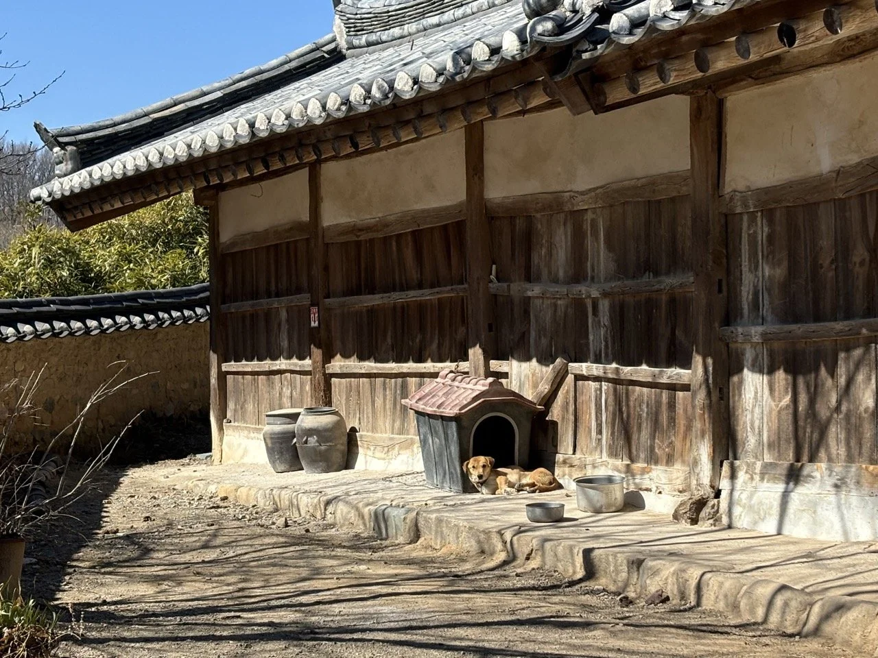 韓國慶州石窟庵與佛國寺｜韓國歷史文化精華 | Korea Gyeongju Seokguram Bulguksa