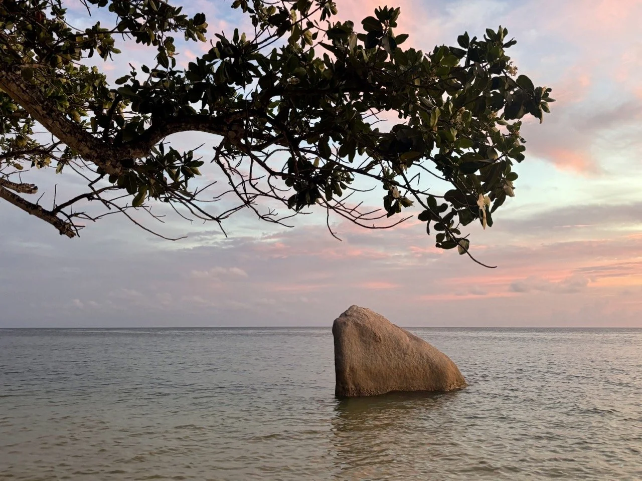 Anse Lazio 細白沙灘延伸至清澈藍色海水，呈現塞席爾普拉蘭島自由行不可錯過的經典海灘景色。