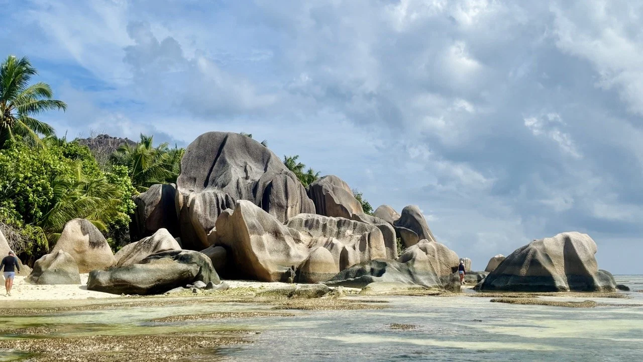 棕櫚樹與熱帶植物環繞的拉迪格島道路，呈現塞席爾慢活旅行的自然氛圍。