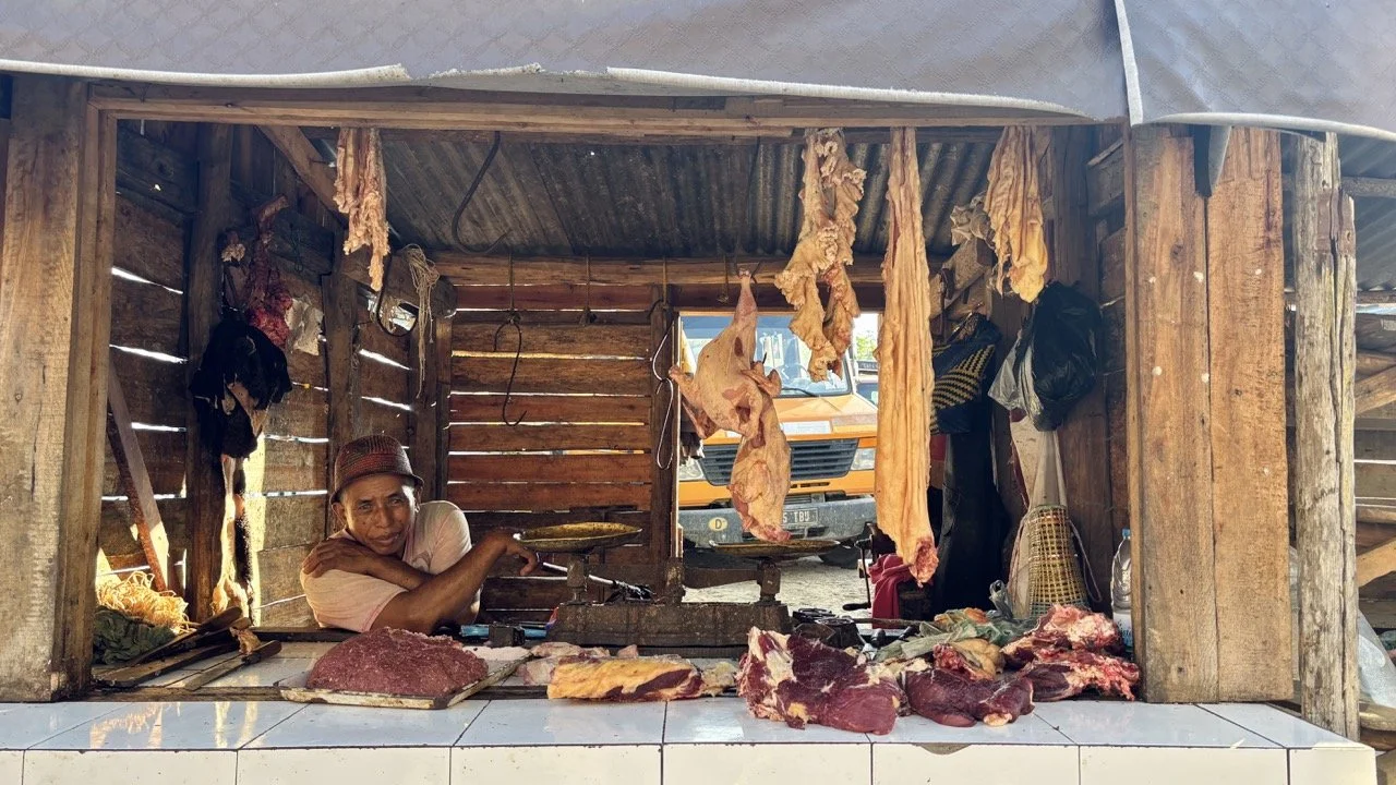 可下載的 Andasibe 攝影行程封面：1–3 天詳細路線、拍攝時段與導遊推薦