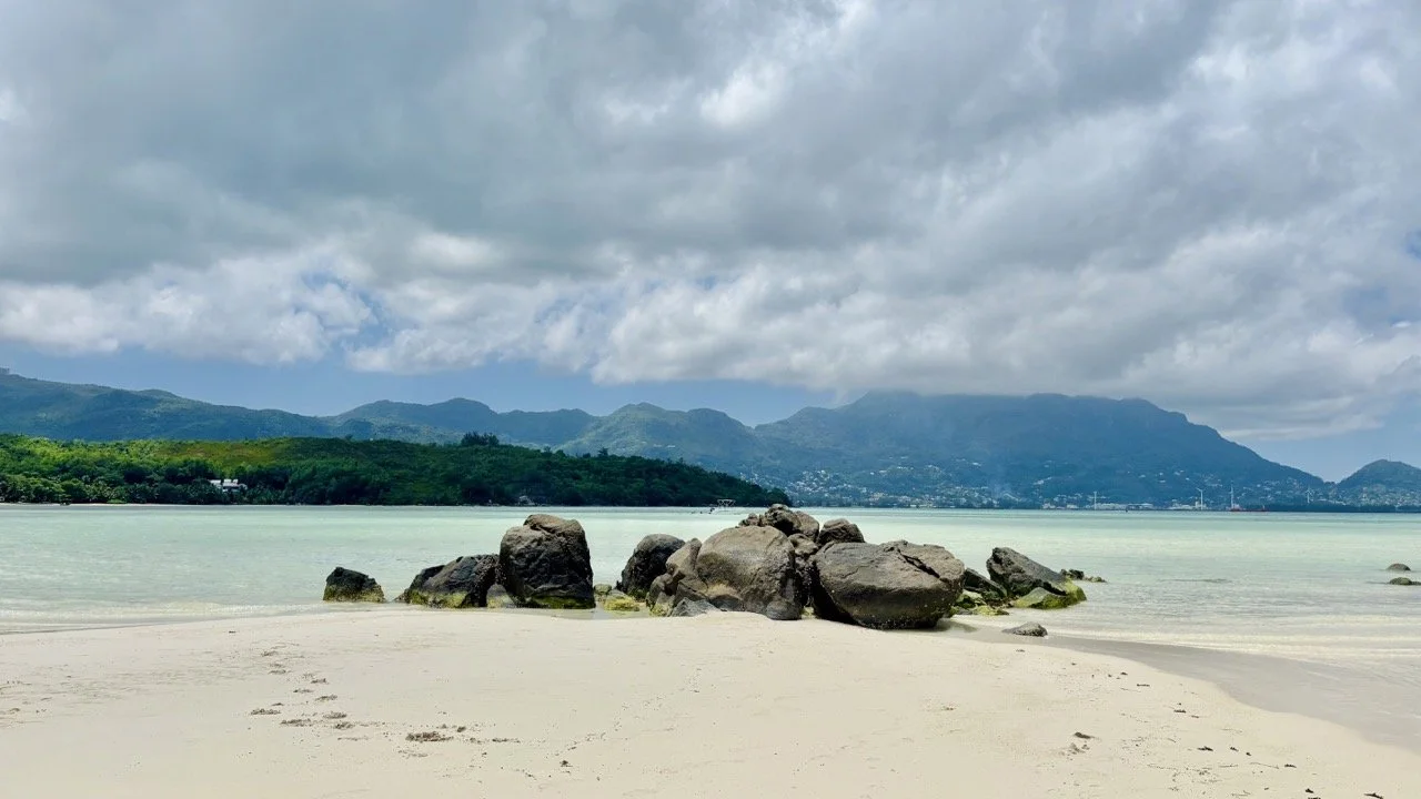 Cerf Island 鹿島附近的浮潛海域，旅客可在安全指定區域觀察熱帶魚群、珊瑚礁與清澈的印度洋海水。