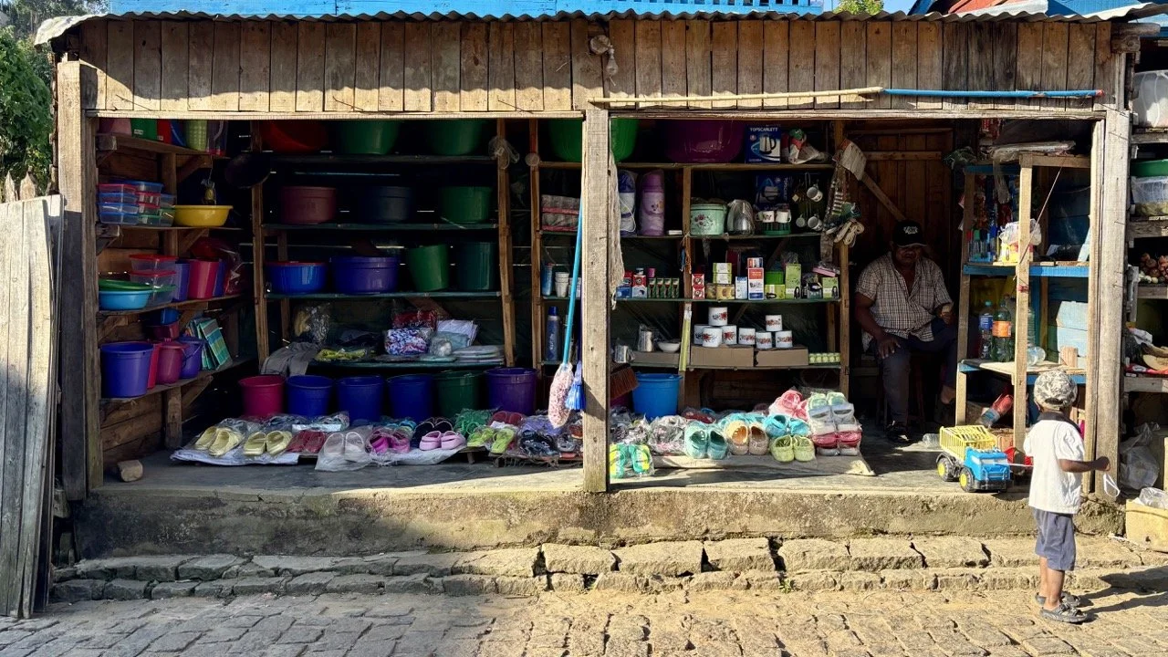 雨林日落金色時刻，側光與剪影創作示例；Rainforest golden hour at sunset — side light and silhouette composition.
