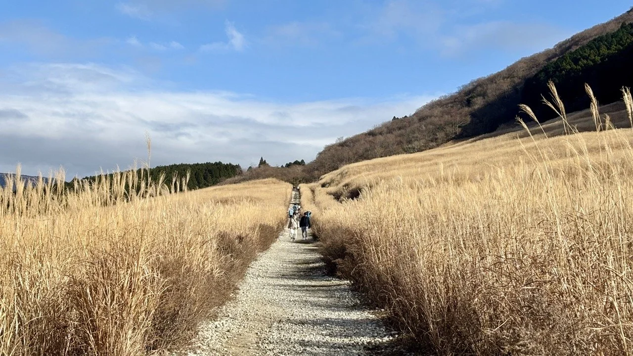 行駛於蘆之湖上的箱根海賊船，旅客可搭船欣賞湖畔風景、箱根神社與晴天時遠處的富士山。