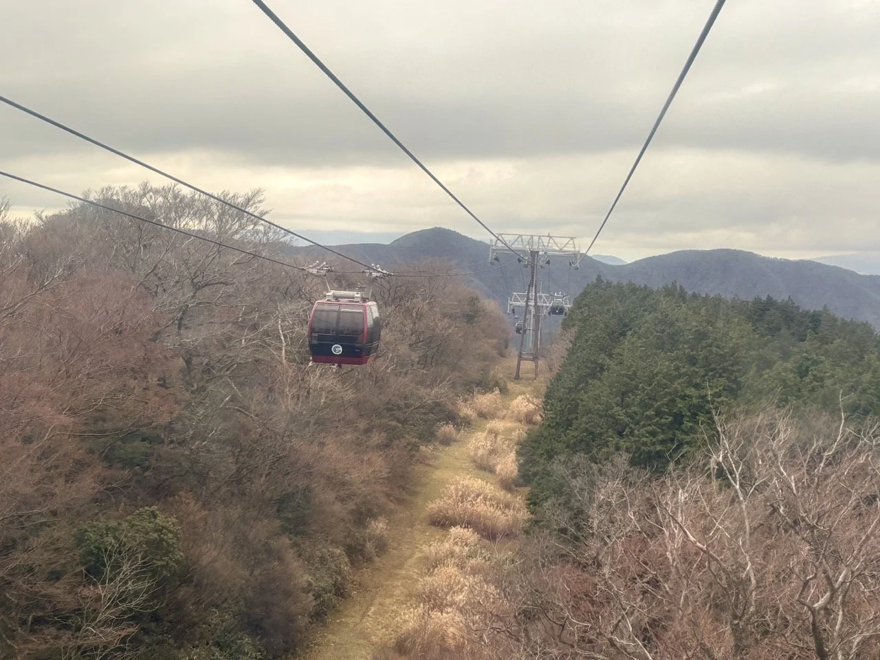 箱根登山電車行駛於山林之間的景色，呈現箱根旅遊中充滿特色的山岳鐵路與自然風光。