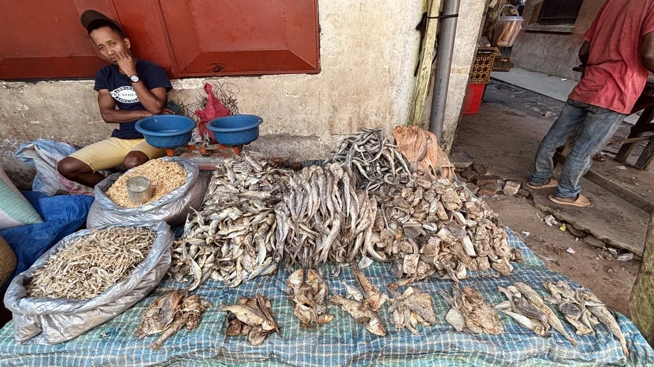 當地漁貨攤位：新鮮魚類與海鮮展示（若當地販售），捕捉食材來源與市場連結；Local fish stall at Ranomafana market — fresh catch display (where available), linking ingredients to market traditions.