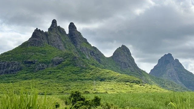 模里西斯風景道路兩旁的棕櫚樹列與沿海景觀，租車自駕路線攝影建議。 Scenic palm‑lined road and coastal views in Mauritius—driving route photography tips for self‑drive travelers.