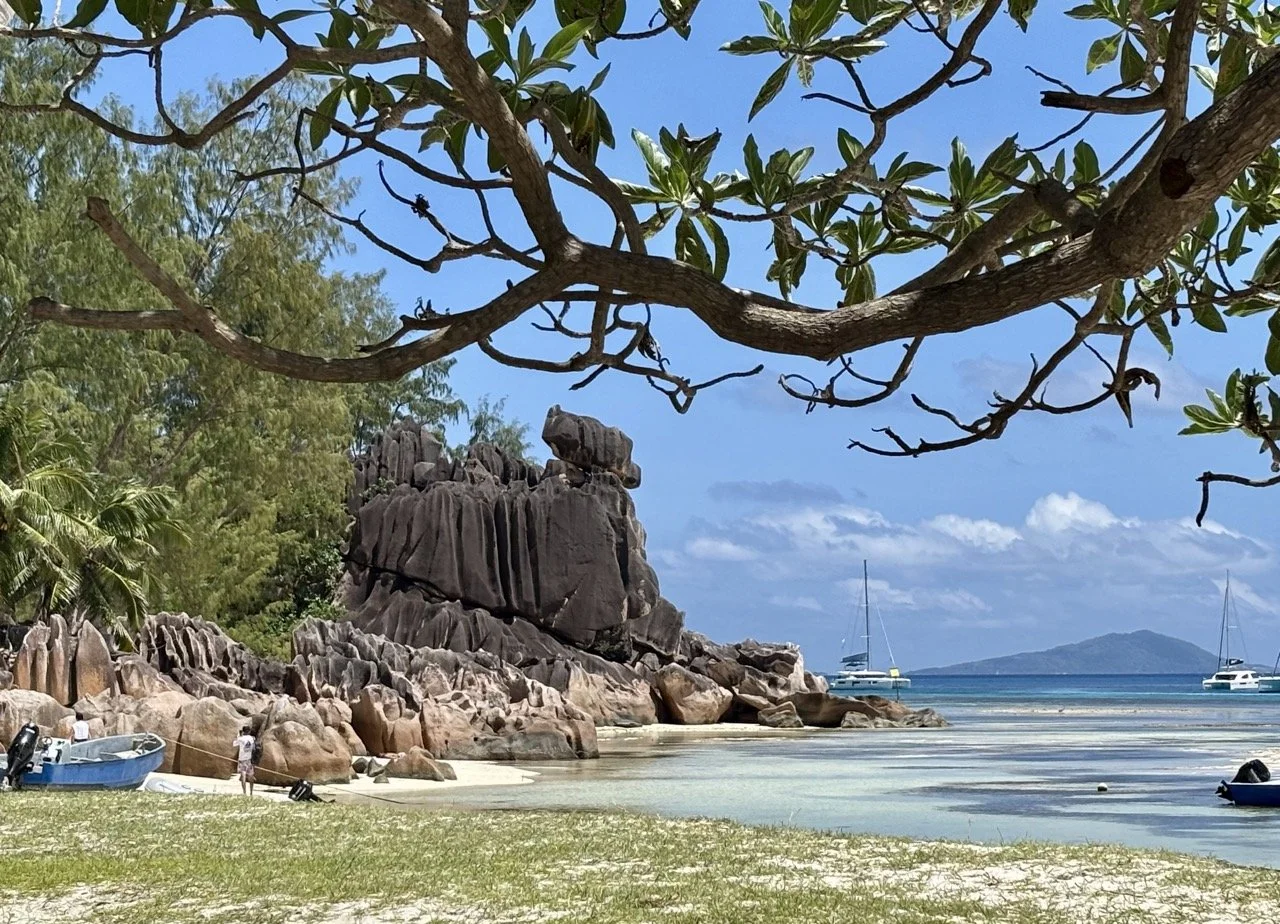 水下攝影記錄聖皮埃爾島周邊熱帶魚在珊瑚礁附近游動，適合呈現塞席爾浮潛的海底景觀。