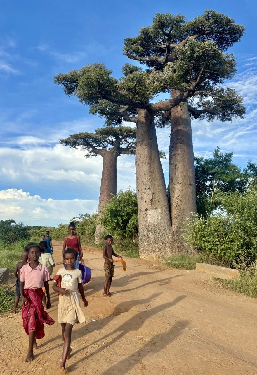 由市區出發前往猴麵包樹大道的日落駕車路線，實用行程照片；Sunset drive from town to Avenue of the Baobabs, practical itinerary photo.