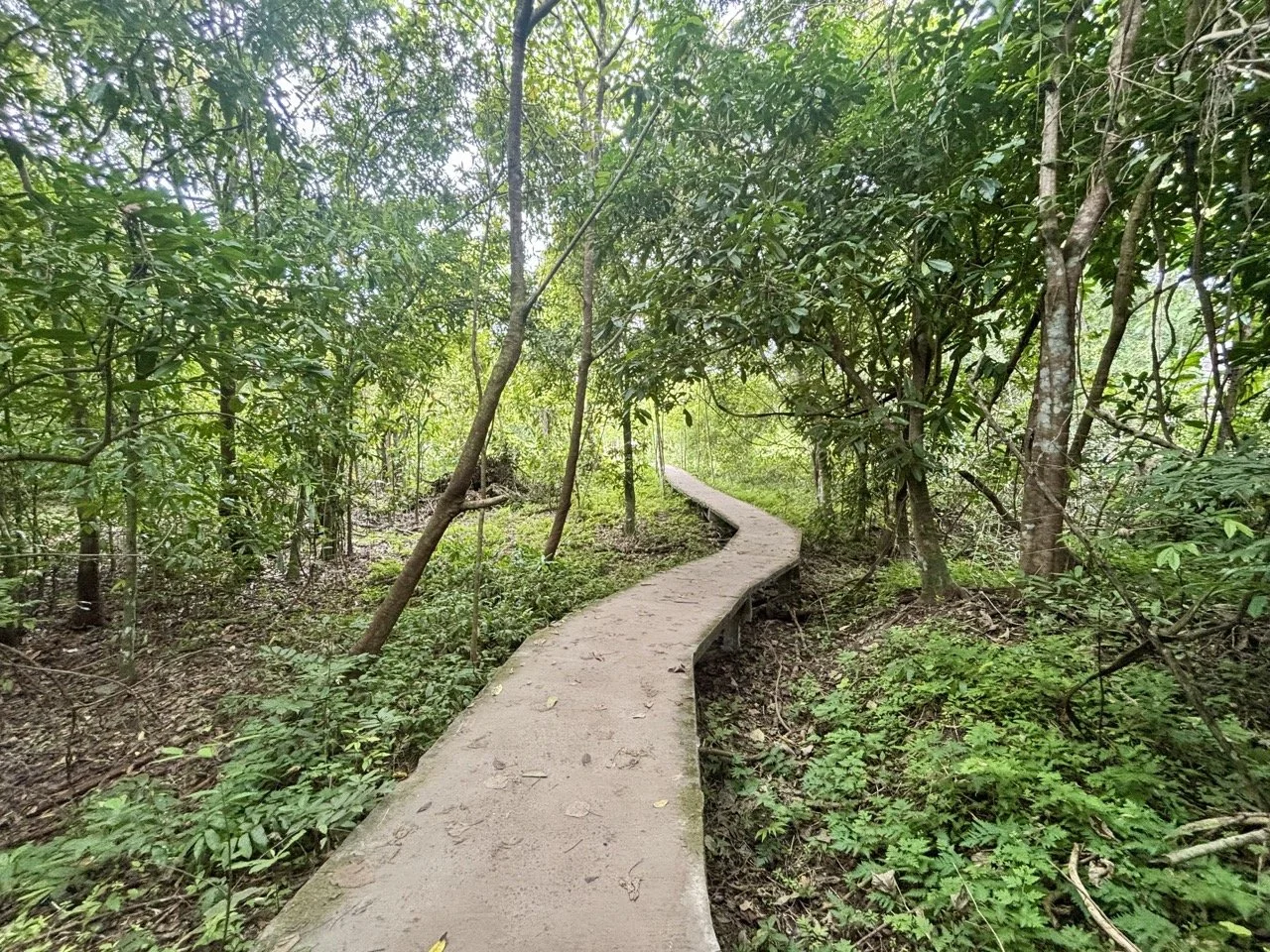 泰國甲米天然溫泉池景色，溫暖泉水與森林環境構成獨特景觀，是甲米海灘以外值得探索的自然景點。 Natural hot spring pools in Krabi Thailand, combining warm water and forest surroundings beyond the region's beaches.