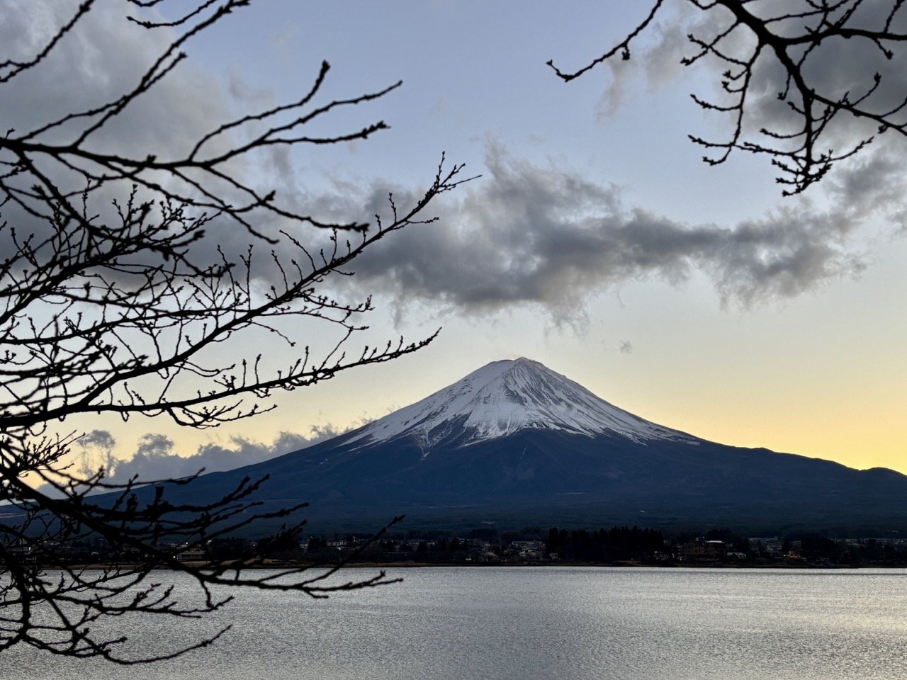 夏季大石公園盛開的薰衣草與遠方富士山，呈現河口湖行程中最受歡迎的季節性攝影畫面。