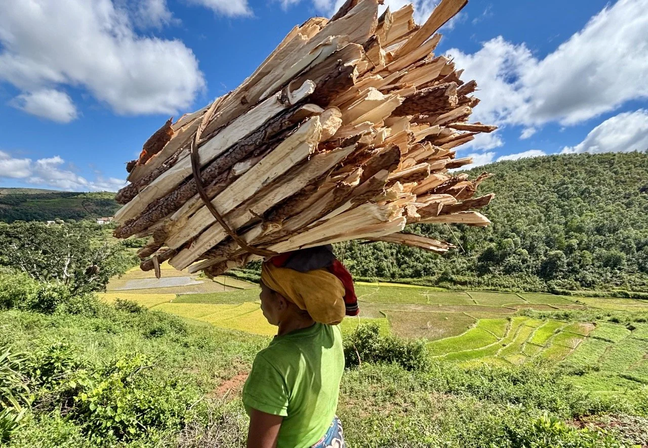 農人插秧於梯田的動態紀實：傳統耕作與人地互動，是生態人文攝影的絕佳素材；Farmers planting in terraced rice fields — dynamic documentary of traditional agriculture and human‑land interaction.