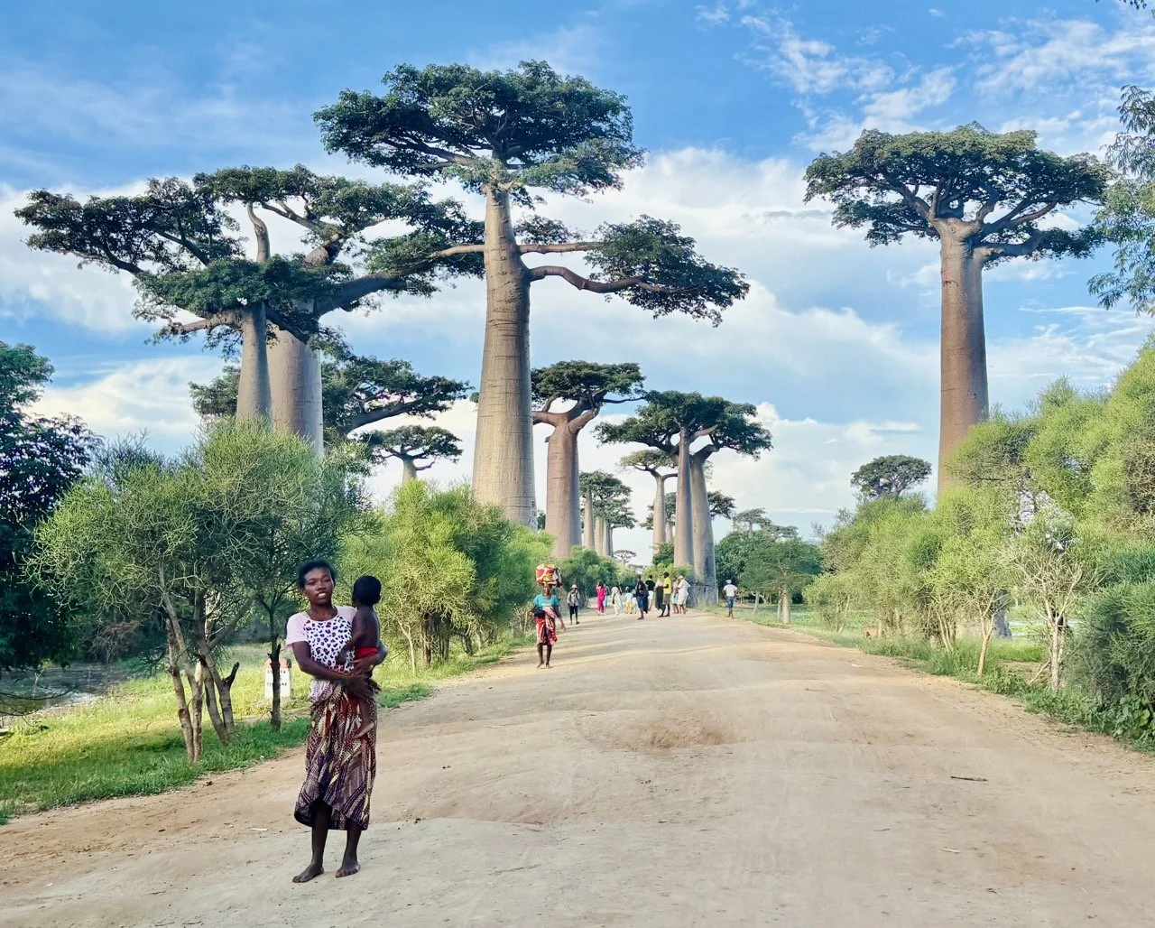 早晨猴麵包樹剪影與清爽空氣，適合拍倒影與柔光場景；Baobab silhouettes at sunrise with crisp air, great for reflections and soft light.