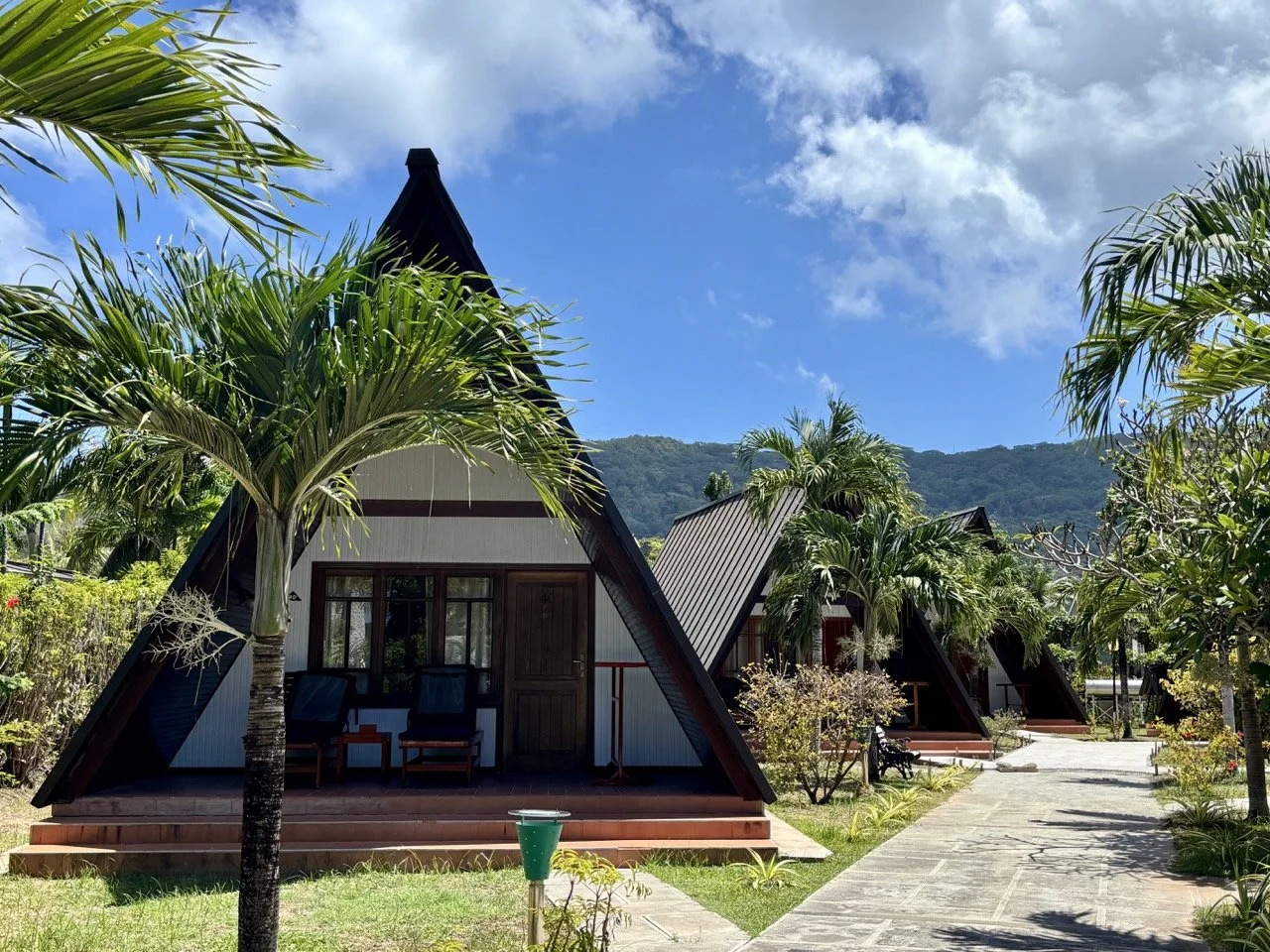 拉迪格島 L’Union Estate 的阿爾達布拉巨龜，旅客可在保持安全距離的情況下觀察野生動物。