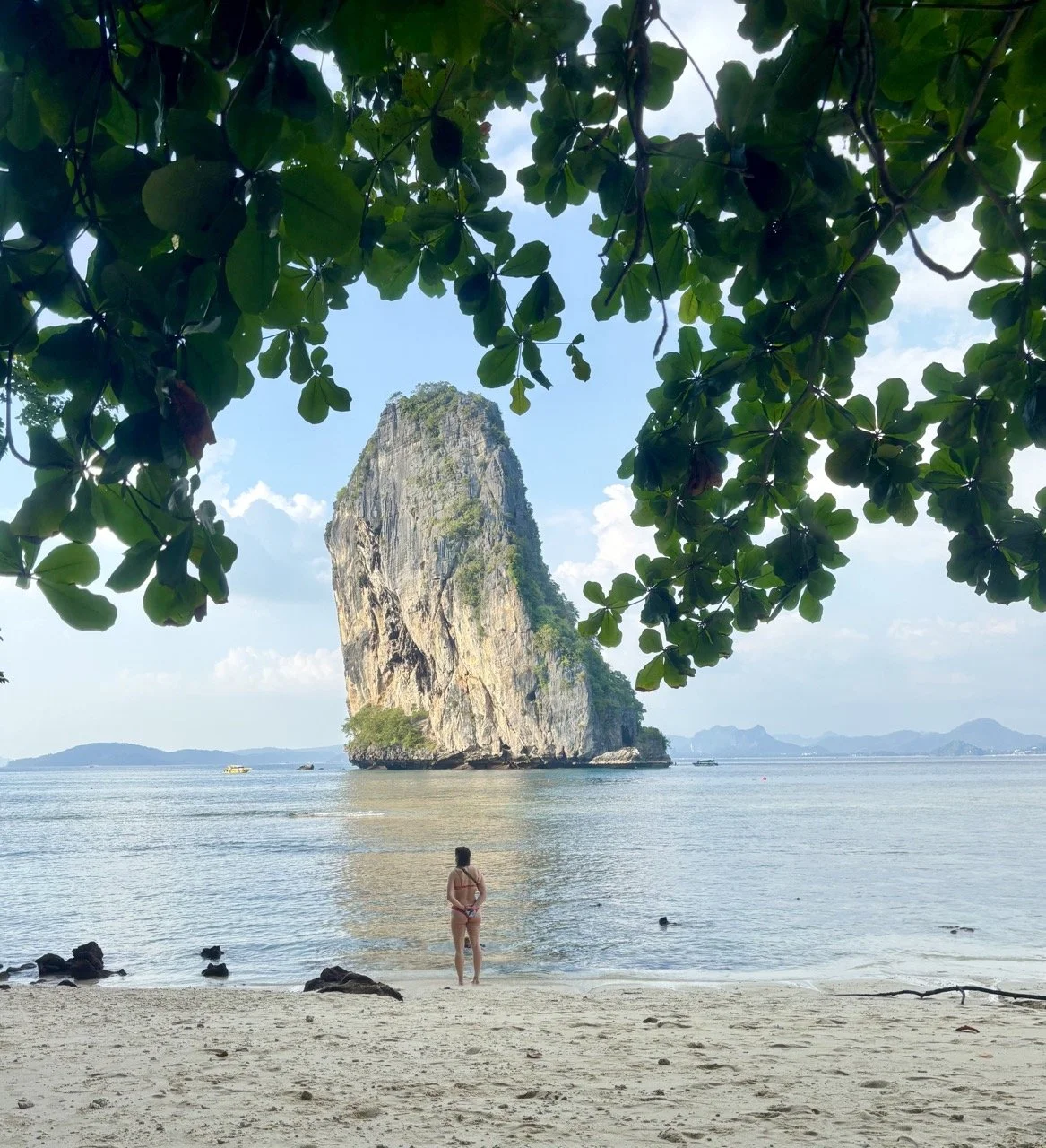 通往甲米翡翠池的森林步道，沿途可欣賞熱帶雨林植物與自然環境，是探索 Emerald Pool 的旅遊體驗之一。 Forest walking path to Emerald Pool in Krabi, with tropical vegetation and natural scenery along the route.
