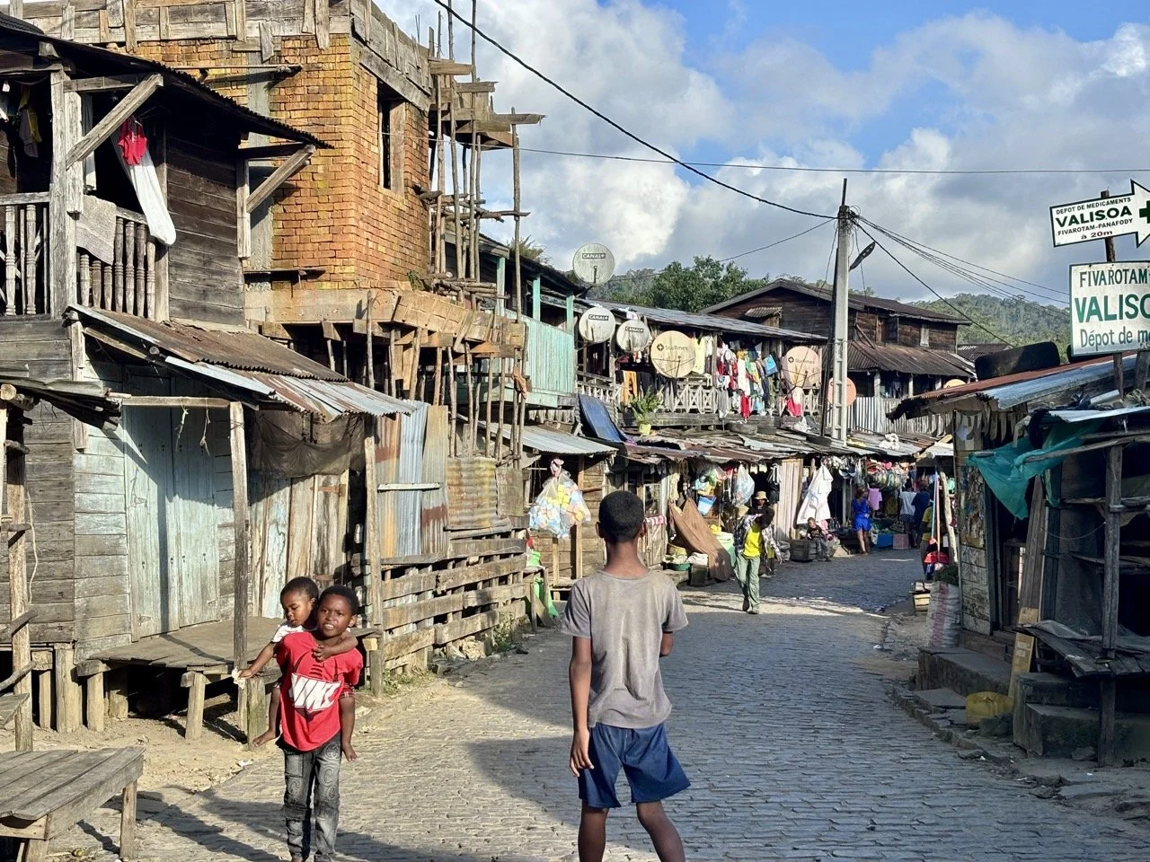 Indri 家族群體互動，群體行為與社會動態紀錄；Indri family group interacting — social behavior documentation in Andasibe.