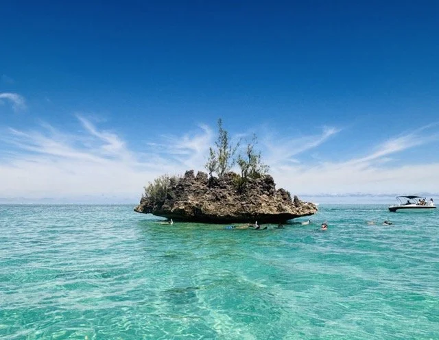 水下近攝熱帶魚群及珊瑚景觀，適用於描述浮潛點生態與 reef conservation 提示。