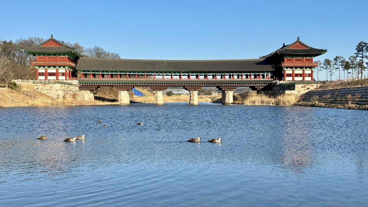 韓國慶州大邱隱藏秘境與必玩行程 | Gyeongju Daegu Hidden Gems Travel