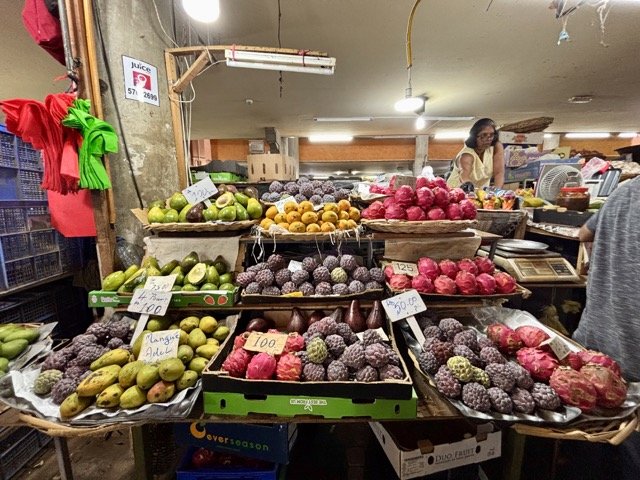 Port Louis 公車路線圖與轉運樞紐示意圖，旅客使用 Google Maps 查詢與搭車實務說明。 Map of Port Louis bus routes and hub with guidance for travelers using Google Maps to plan bus journeys in Mauritius.