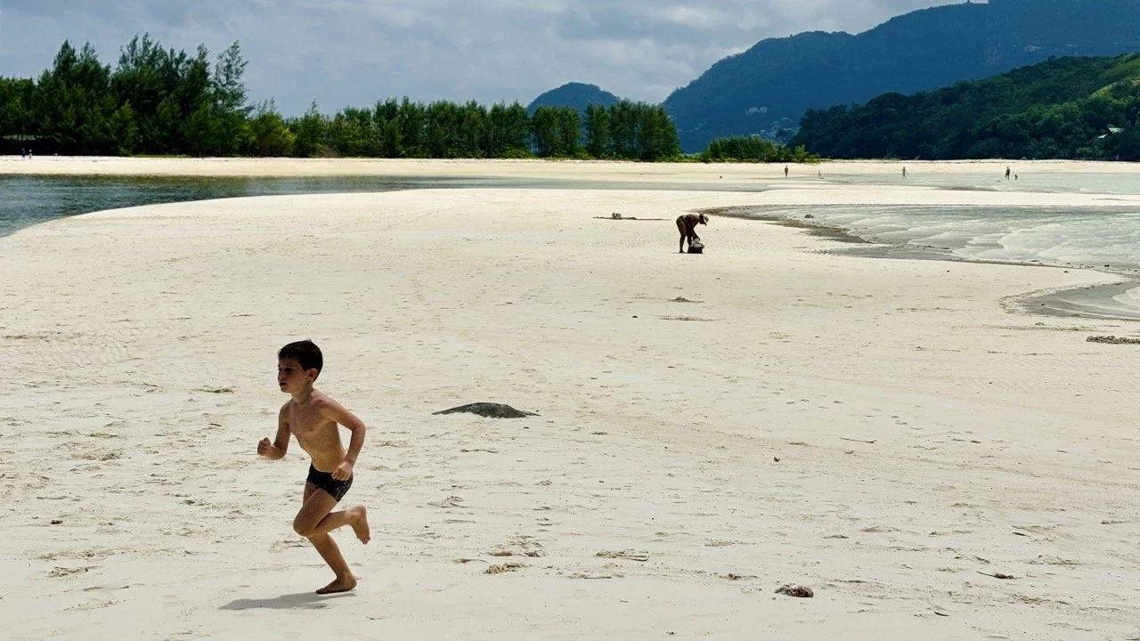 Moyenne Island 島上自然步道穿過熱帶森林，旅客可在塞席爾一日遊期間欣賞島嶼植物與海岸風光。