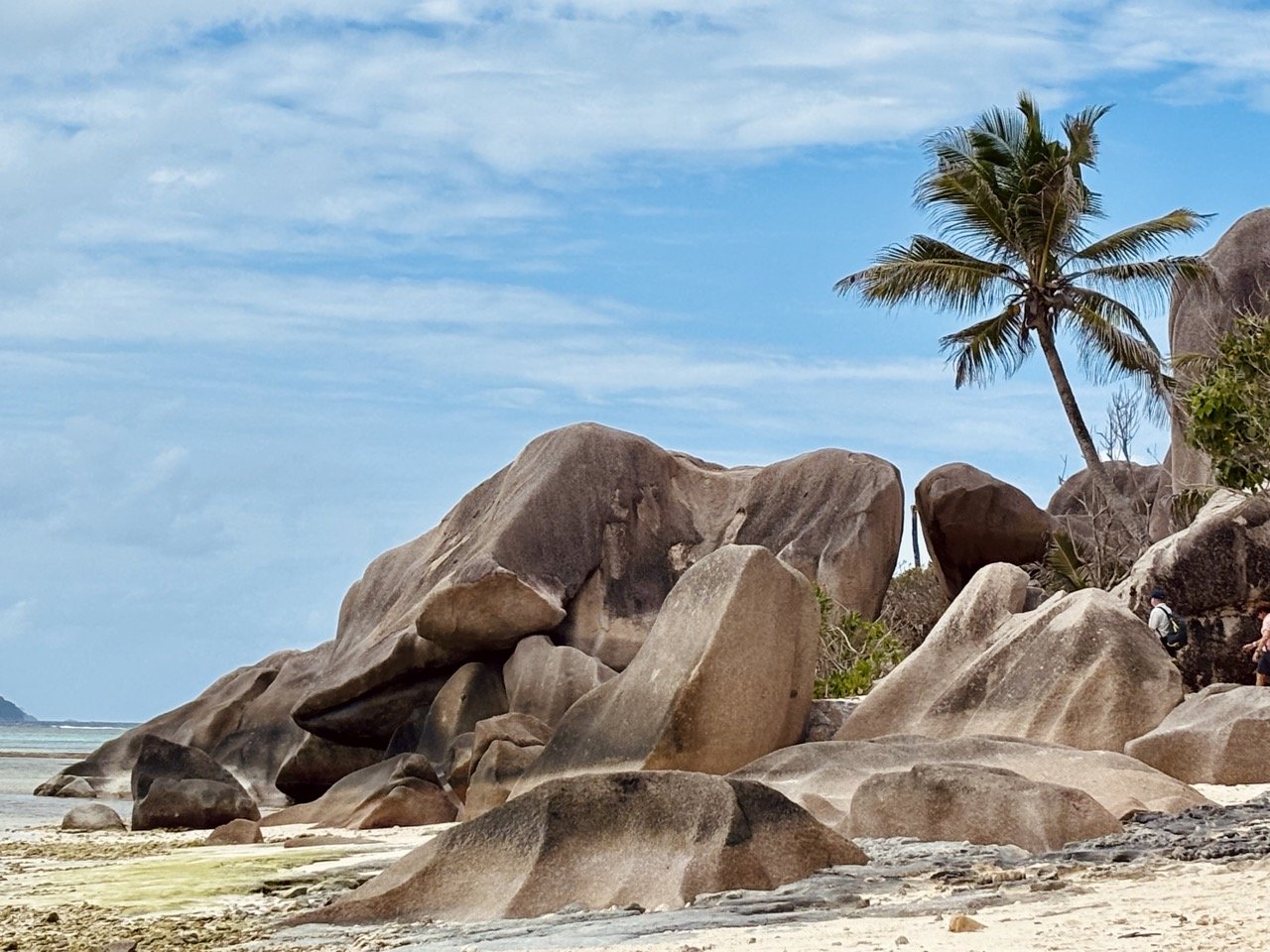 Anse Source d’Argent 海灘上的棕櫚樹與花崗岩景觀，呈現塞席爾熱帶島嶼的經典度假畫面。