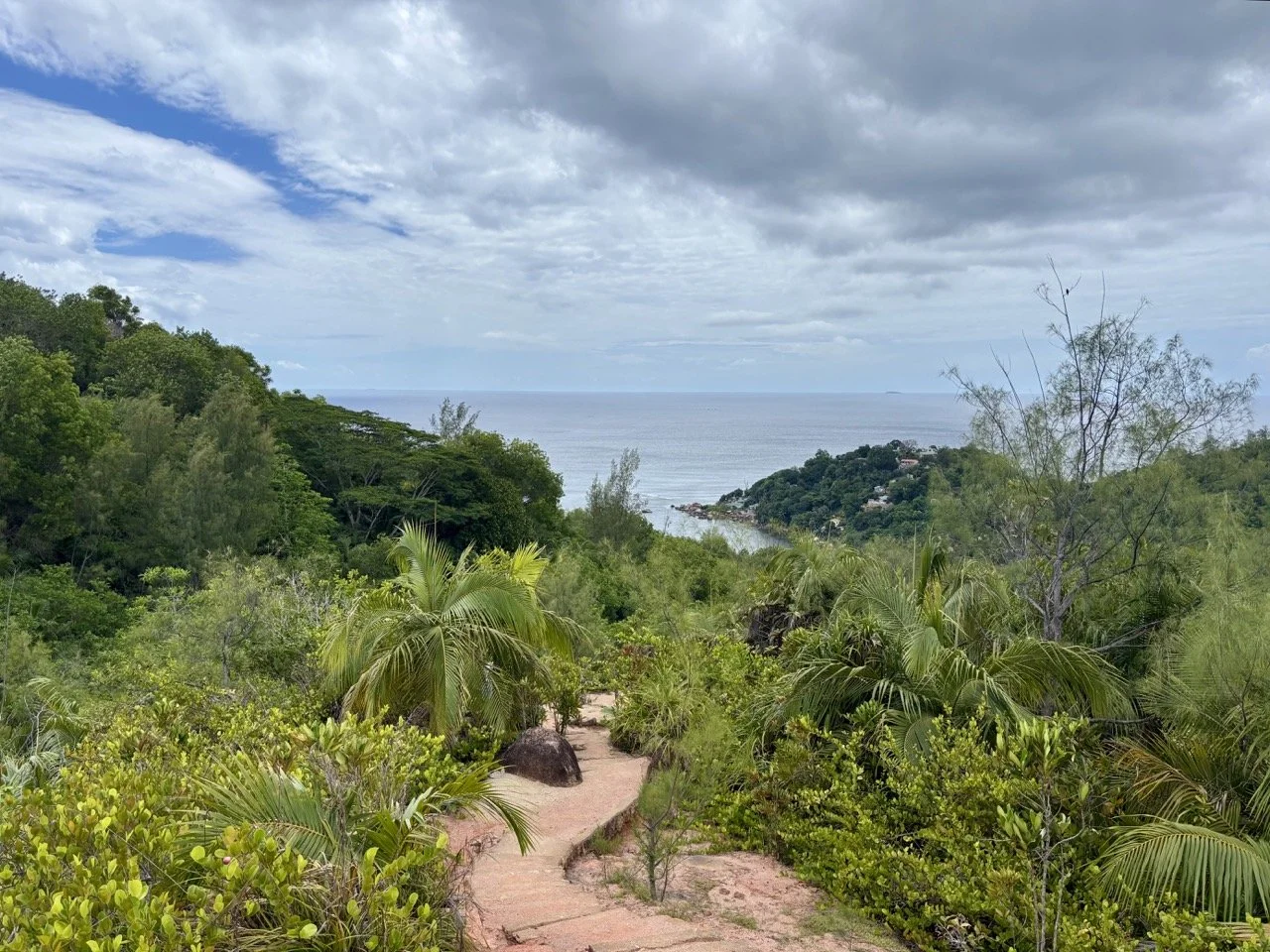 塞席爾普拉蘭島安斯喬治特海灘 Anse Georgette，翠綠山坡、白色沙灘與湛藍海水構成寧靜海島景觀。