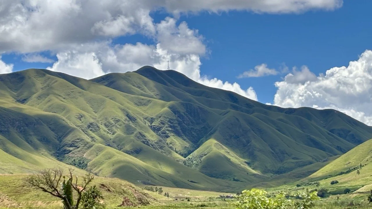 樹冠層日夜變化時序影像示意（time‑lapse 構想）；Forest canopy time‑lapse concept showing day‑to‑night change in Ranomafana.