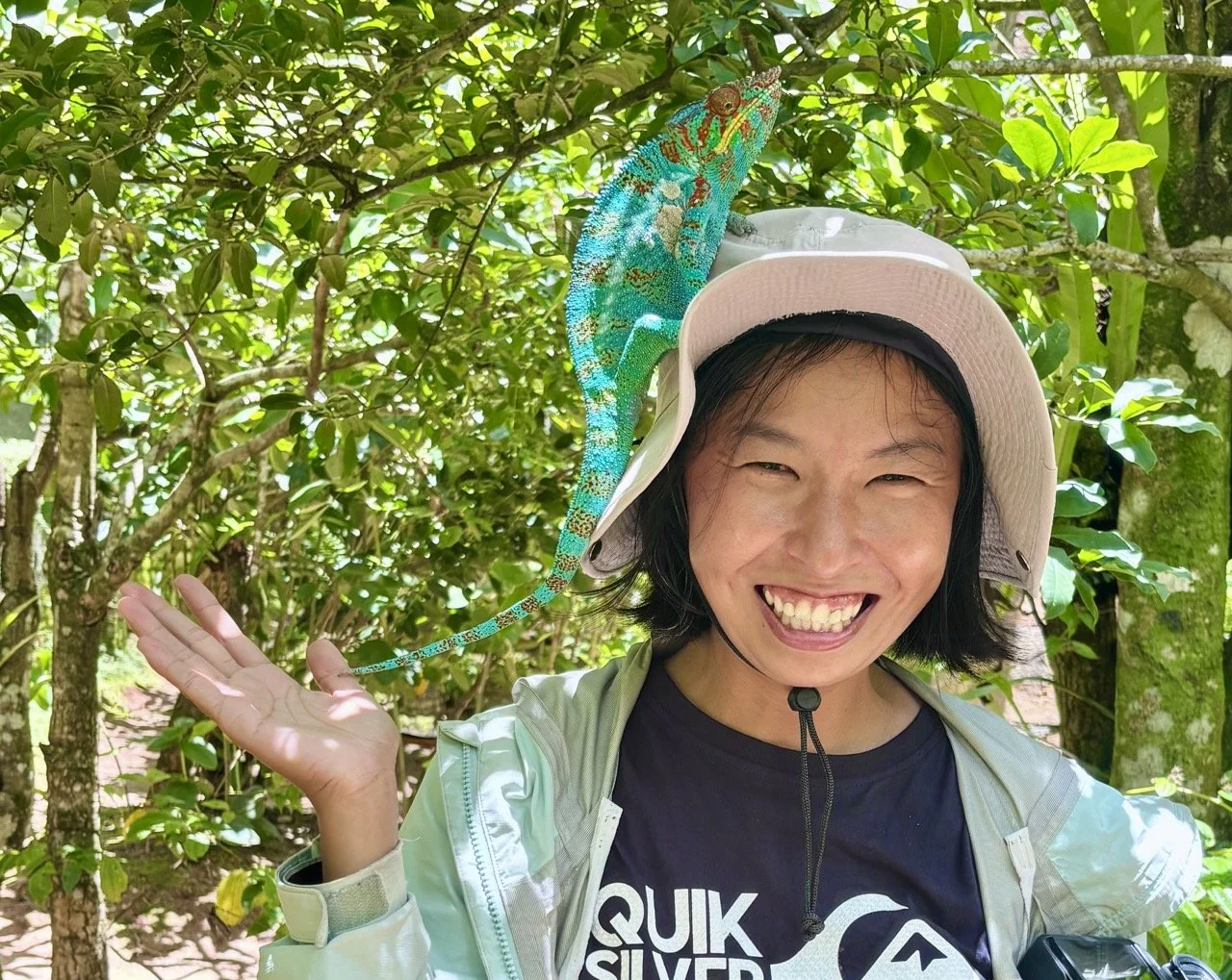 Madagascar Exotic 類保育園區近距離狐猴與變色龍觀察，保育導覽體驗；Madagascar Exotic reserve close encounters with lemurs and chameleons — conservation tour experiences.